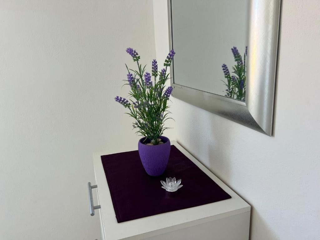 Top Biograd Sveti Filip i Jakov Top Biograd Sveti Filip i Jakov