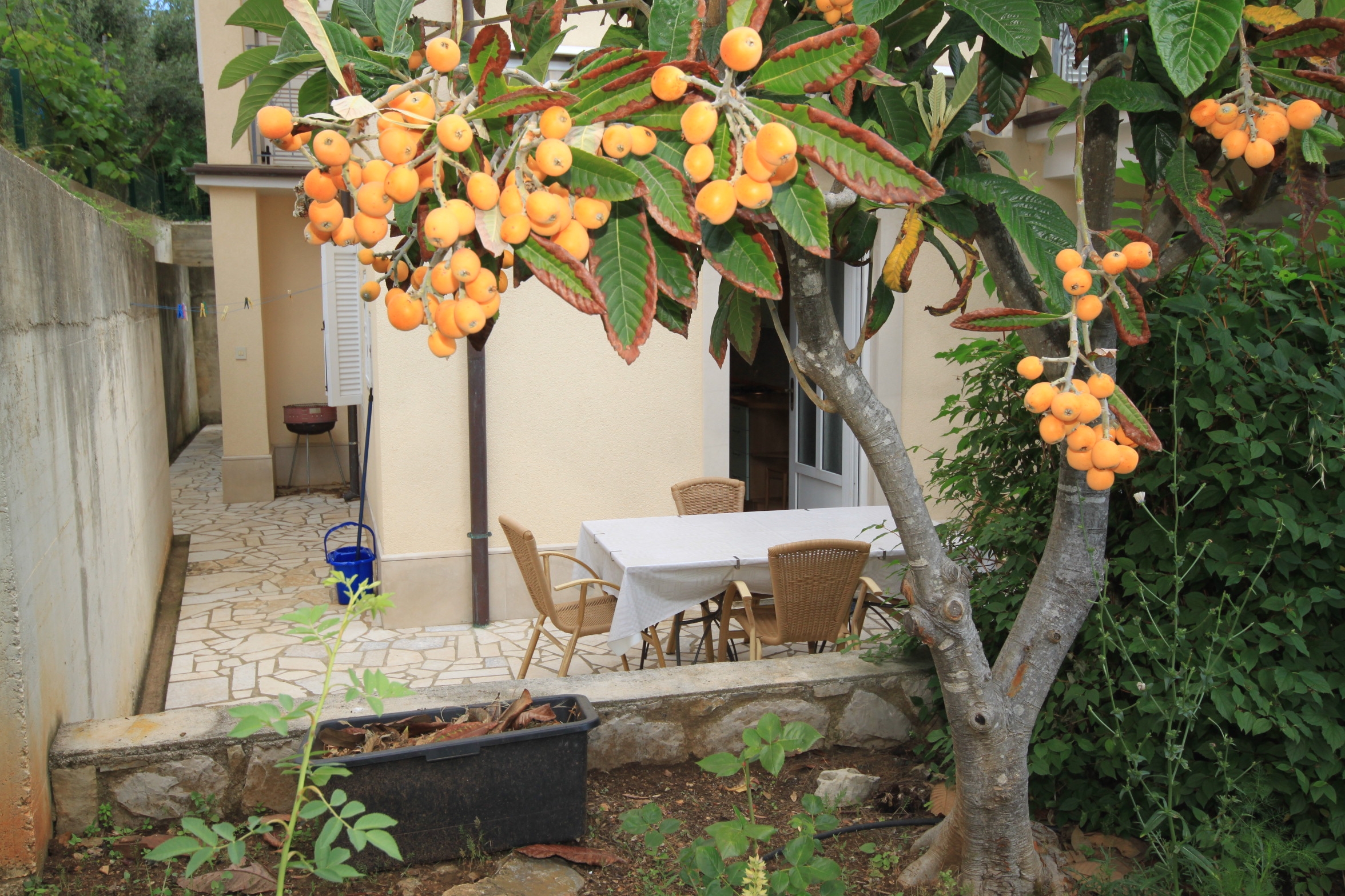 One bedroom apartment with terrace Nerezine, Lošinj (A-2518-c)