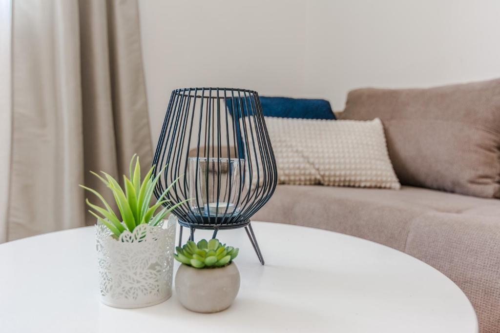 Top Zadar Kožino Top Zadar Kožino