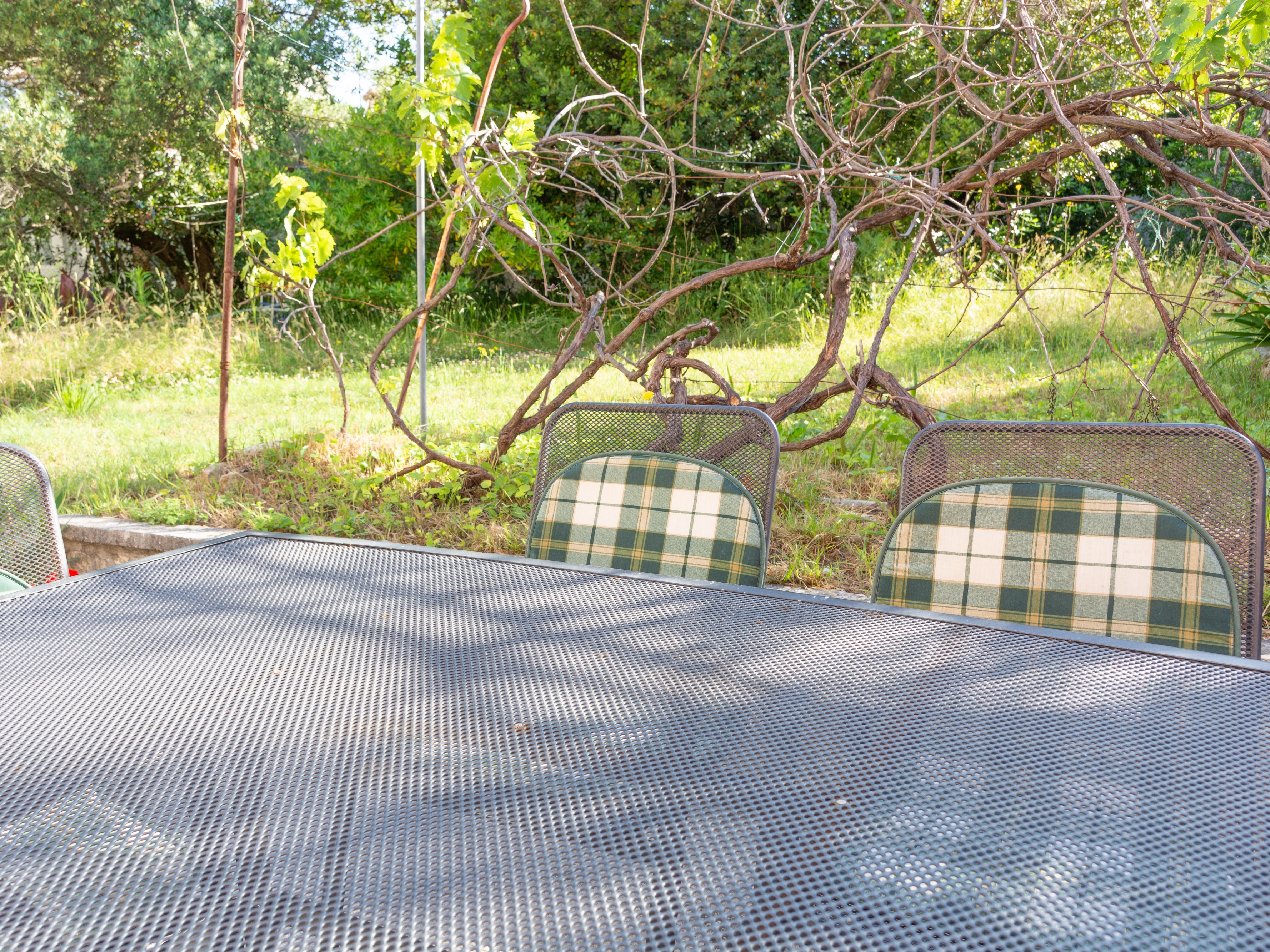 Top Rab Banjol Top Rab Banjol