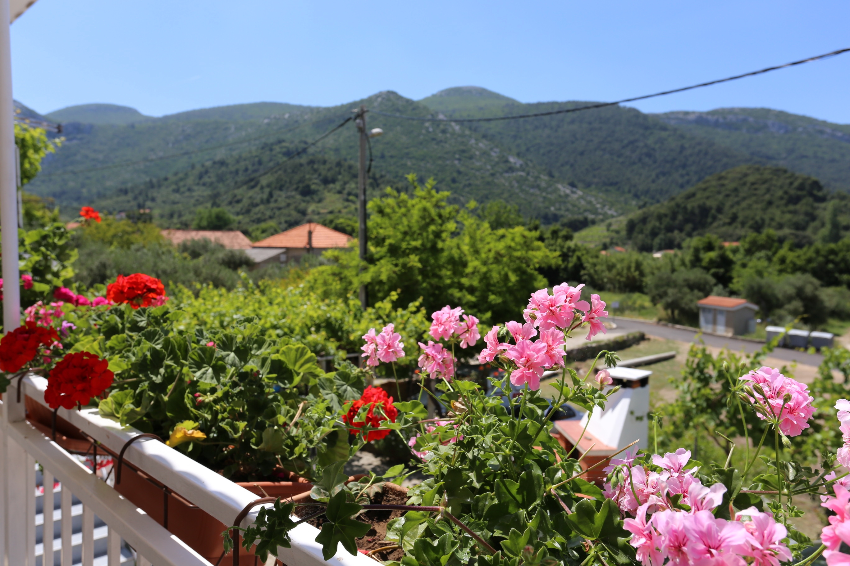 Two bedroom apartment with terrace and sea view Žuljana, Pelješac  A-b