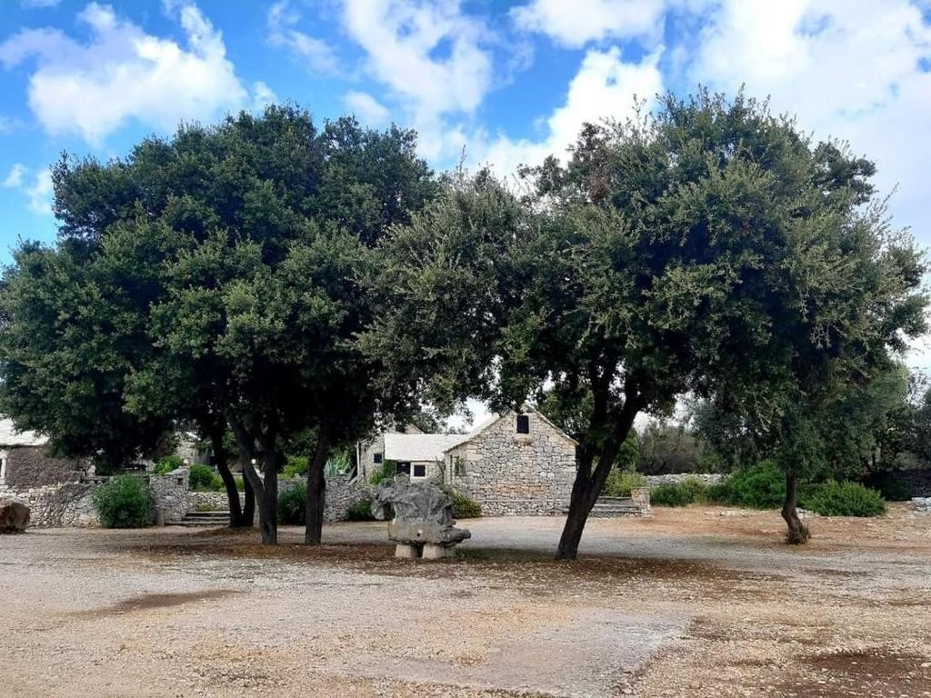 Top Brač Selca Top Brač Selca