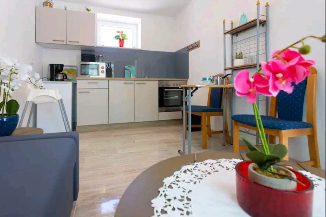 Top Zagora Rastovac Top Zagora Rastovac