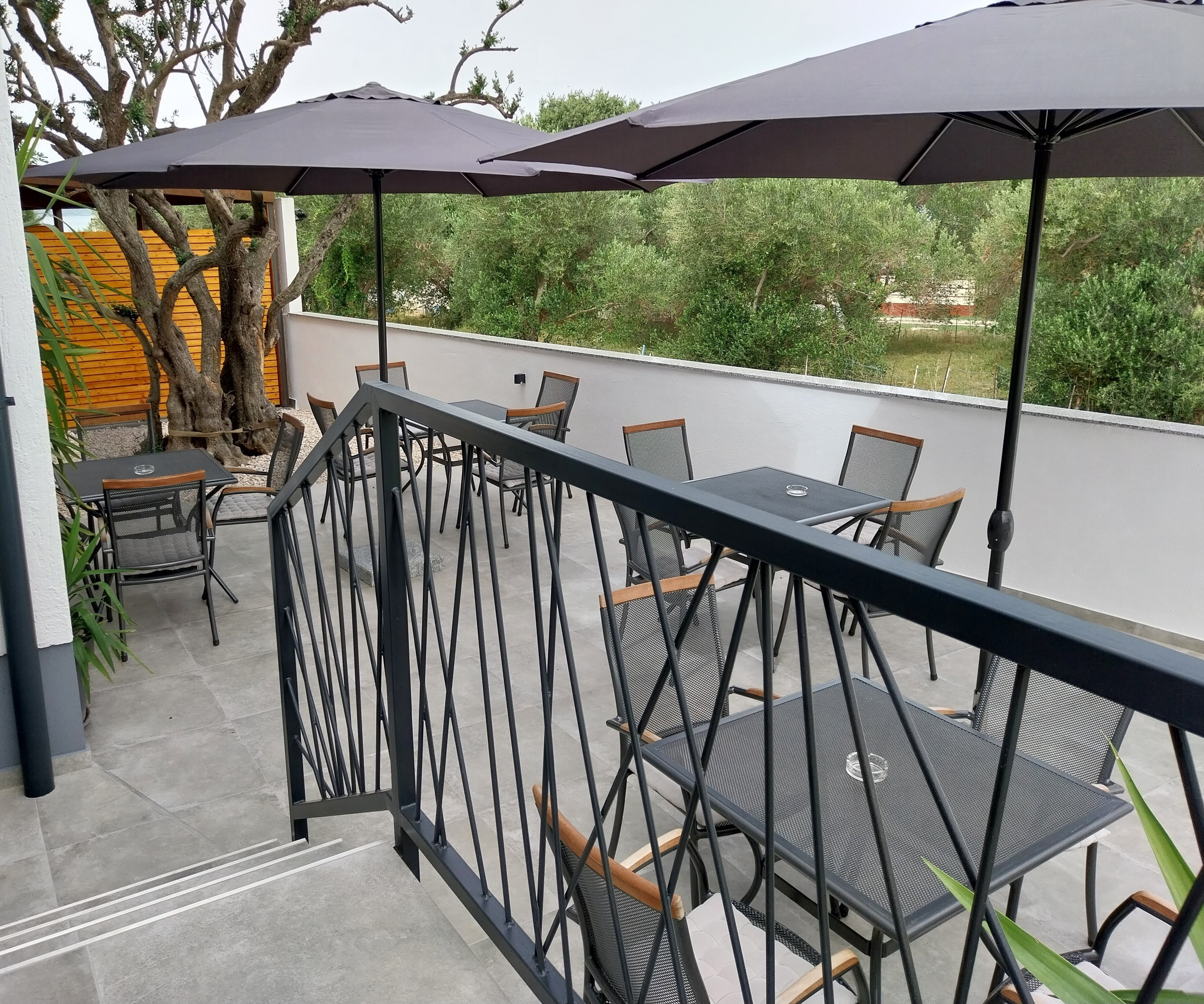 Top Biograd Sveti Petar Top Biograd Sveti Petar