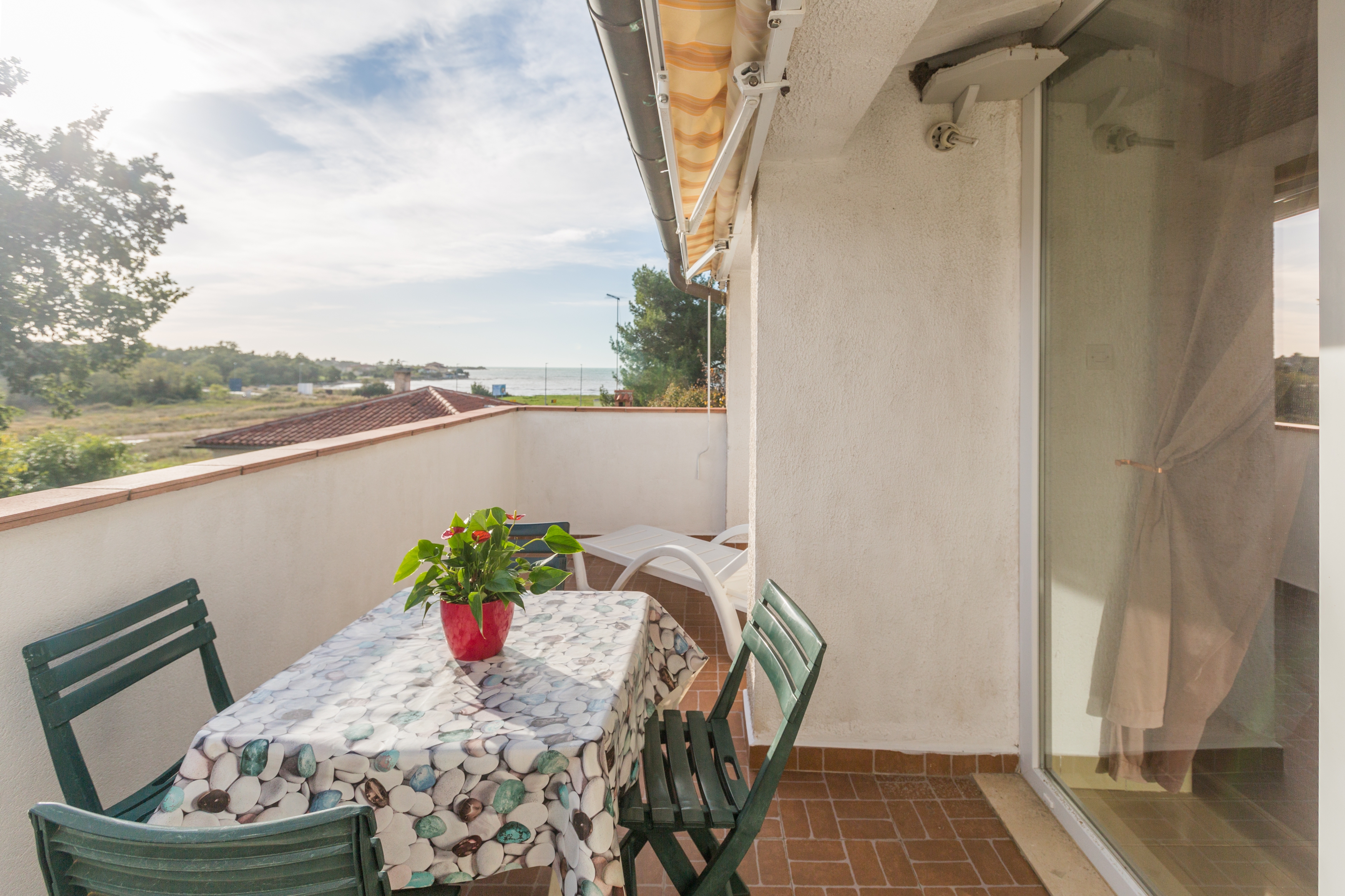 Top Novigrad Karigador Top Novigrad Karigador