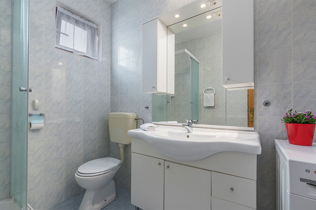 Top Novigrad Top Novigrad