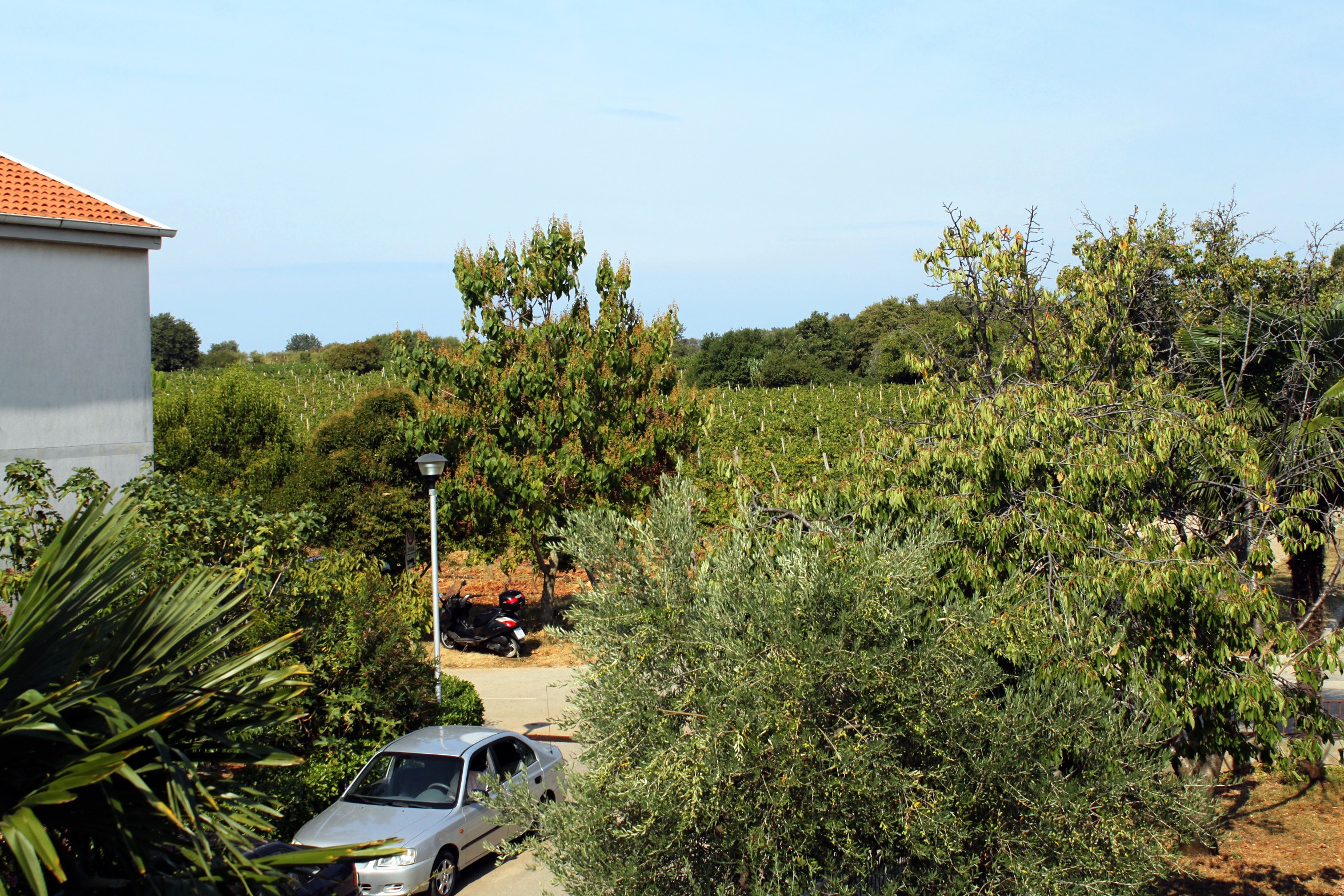 One bedroom apartment with terrace Novigrad  A-d