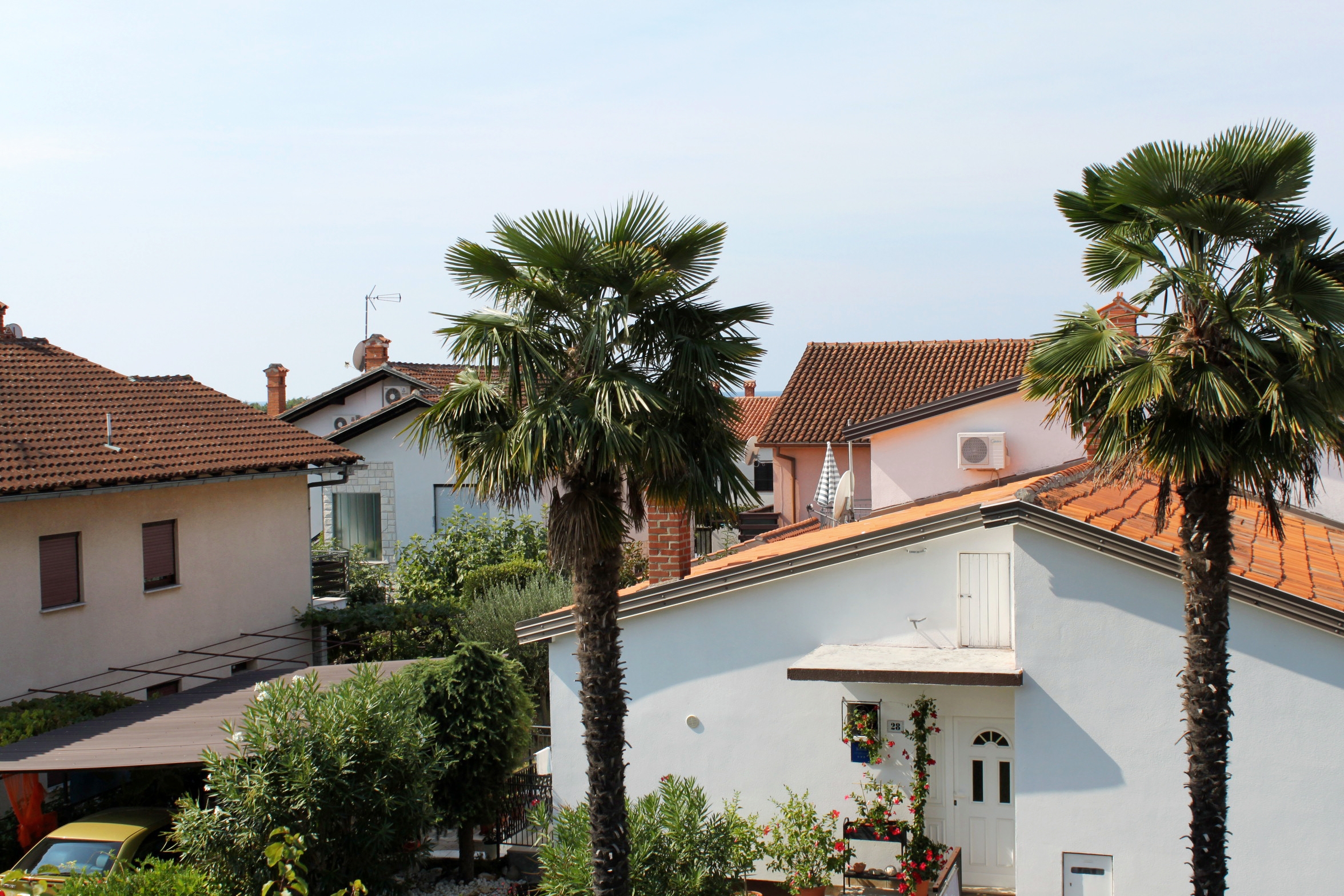 One bedroom apartment with terrace Novigrad  A-d