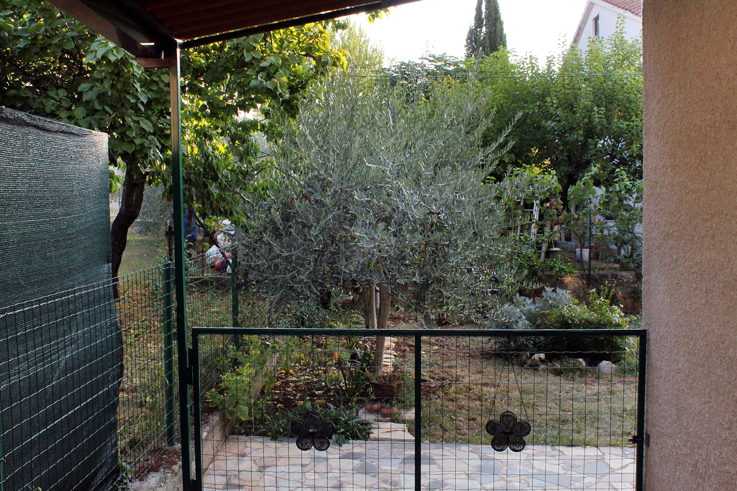 Top Novigrad Top Novigrad