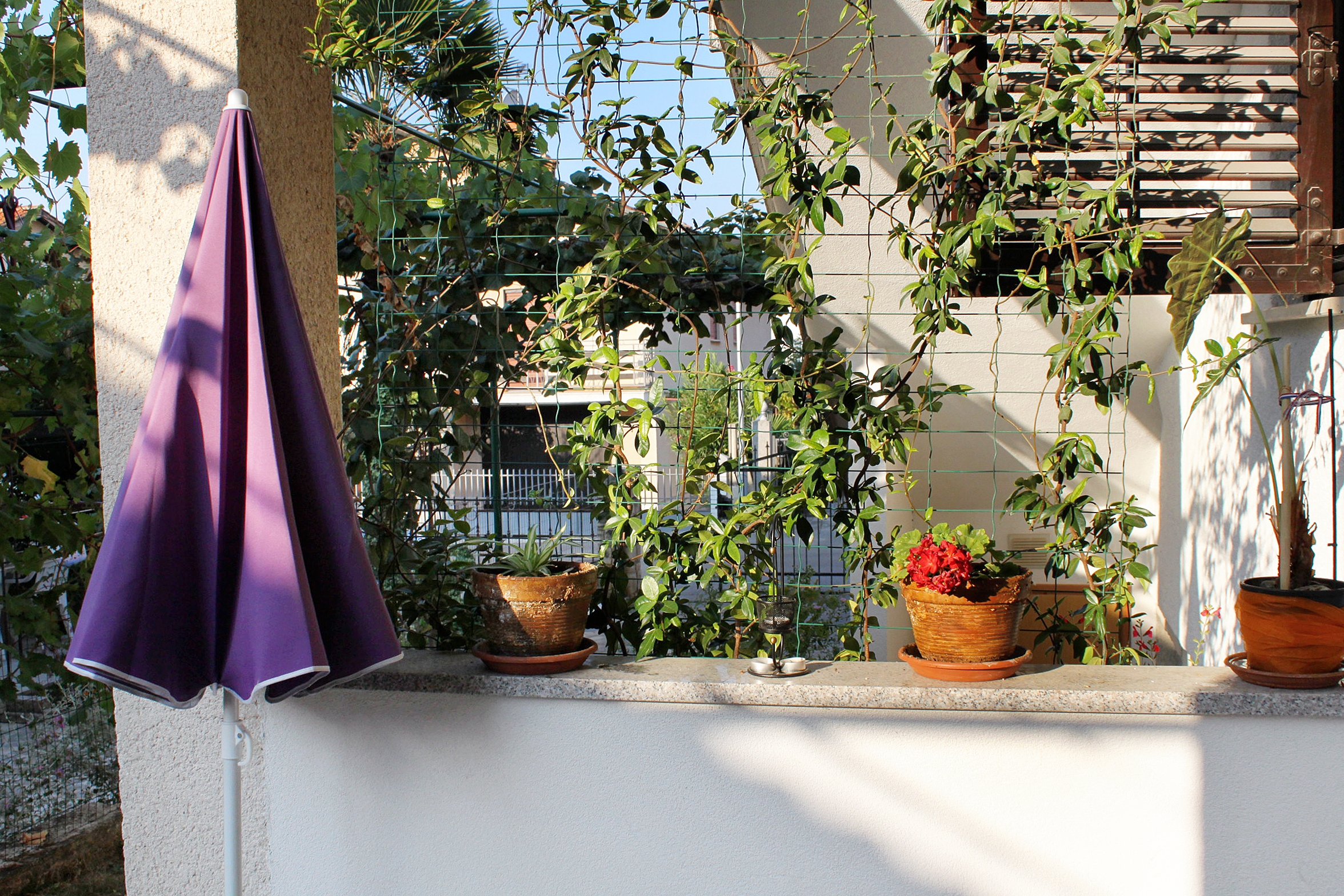 Studio flat with terrace Novigrad (AS-2536-b) Studio flat with terrace Novigrad (AS-2536-b)