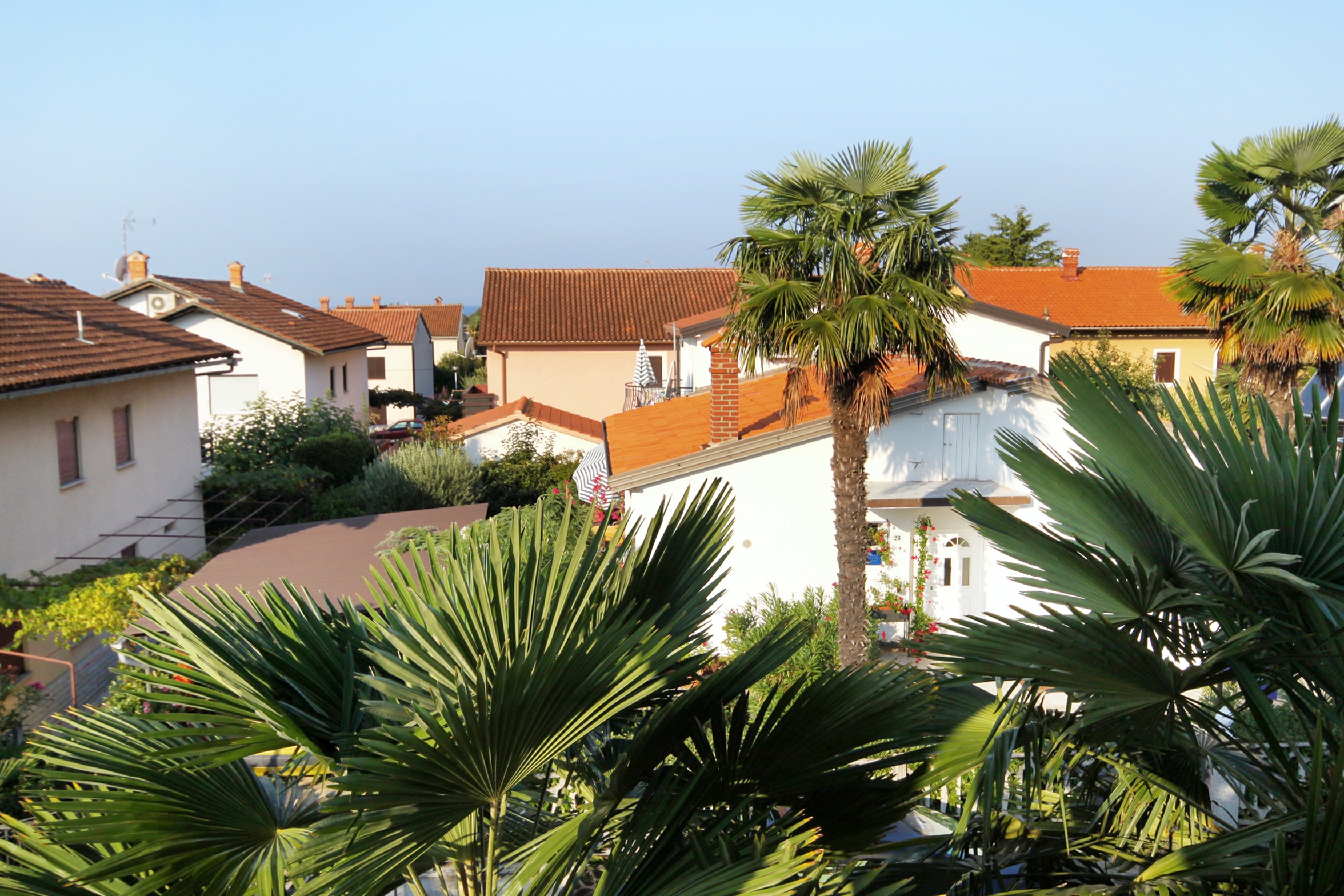 Studio flat with terrace Novigrad  AS-c