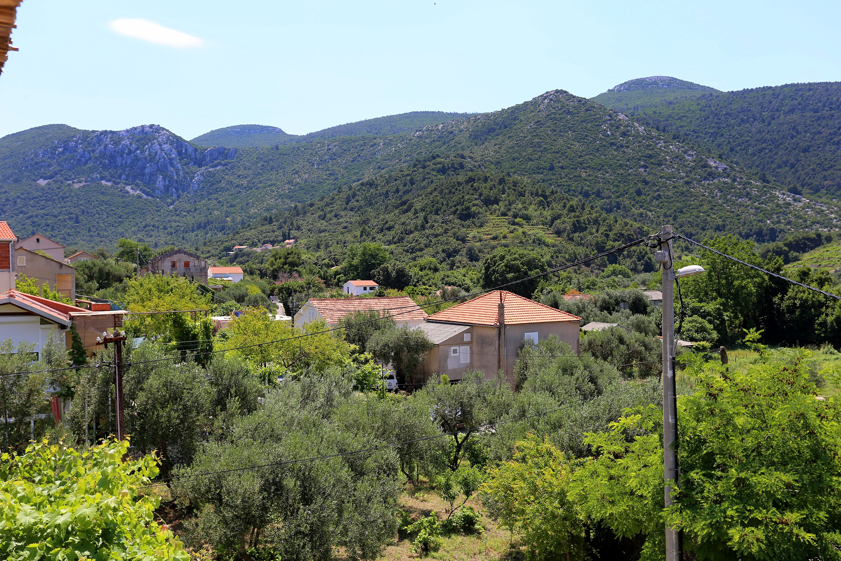 Studio flat with terrace and sea view Žuljana, Pelješac  AS-a