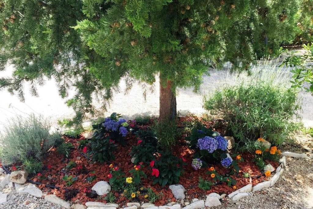 Top Biograd Biograd na Moru Top Biograd Biograd na Moru