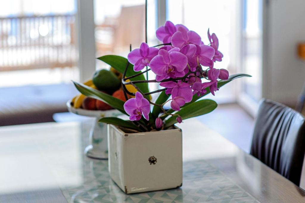 Top Šibenik Zablaće Top Šibenik Zablaće