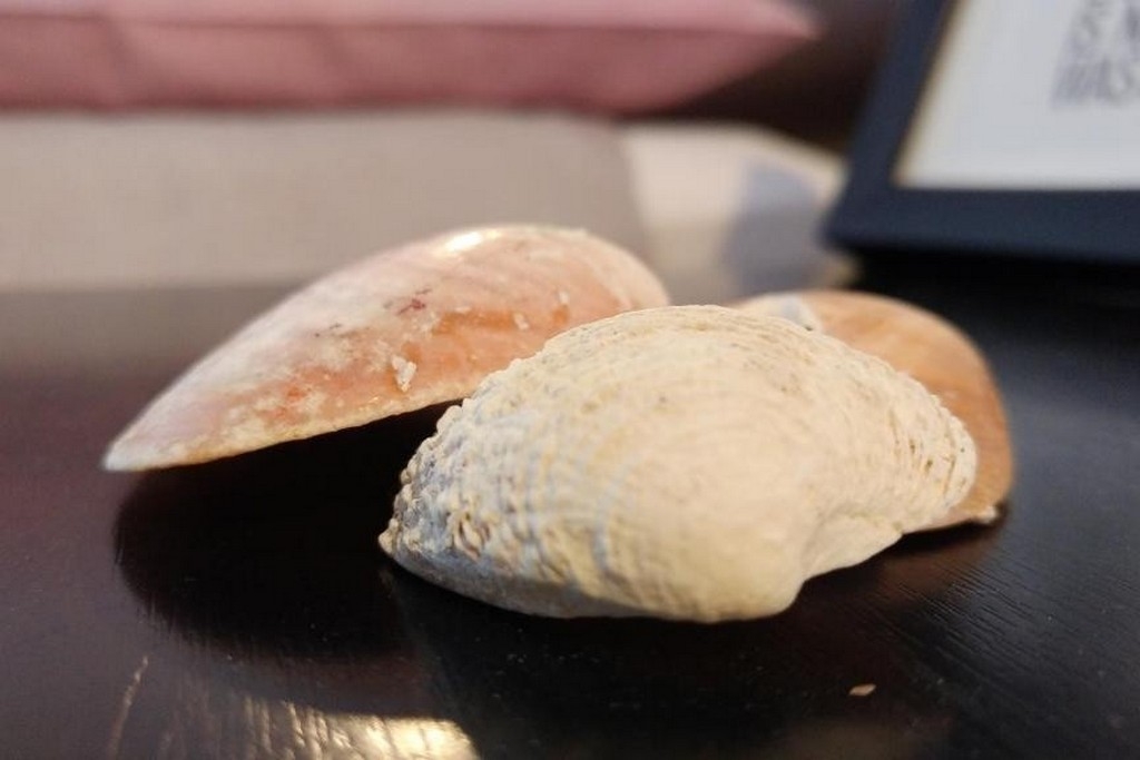 Top Čiovo Okrug Donji Top Čiovo Okrug Donji