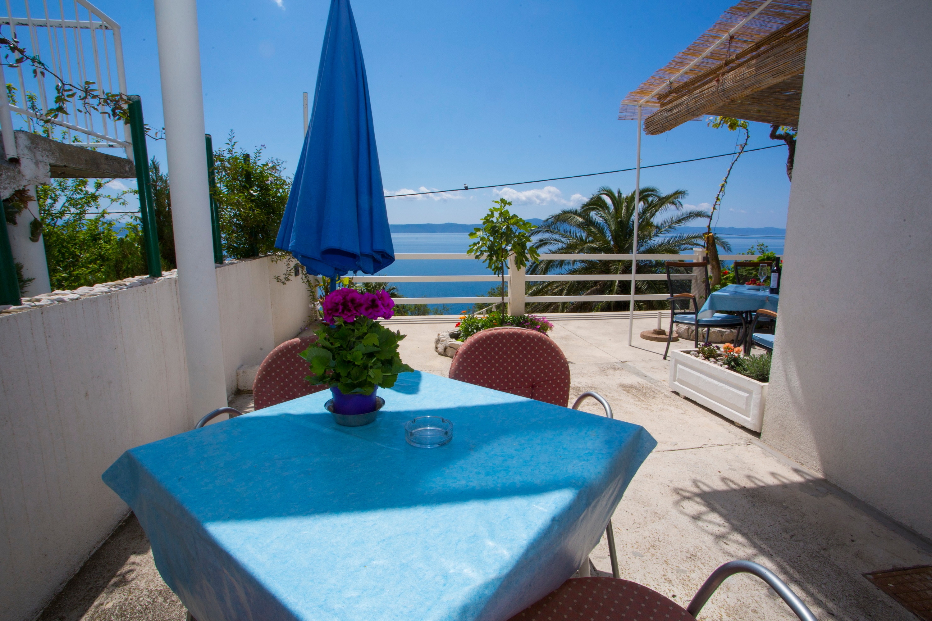 Top Makarska Podgora Top Makarska Podgora