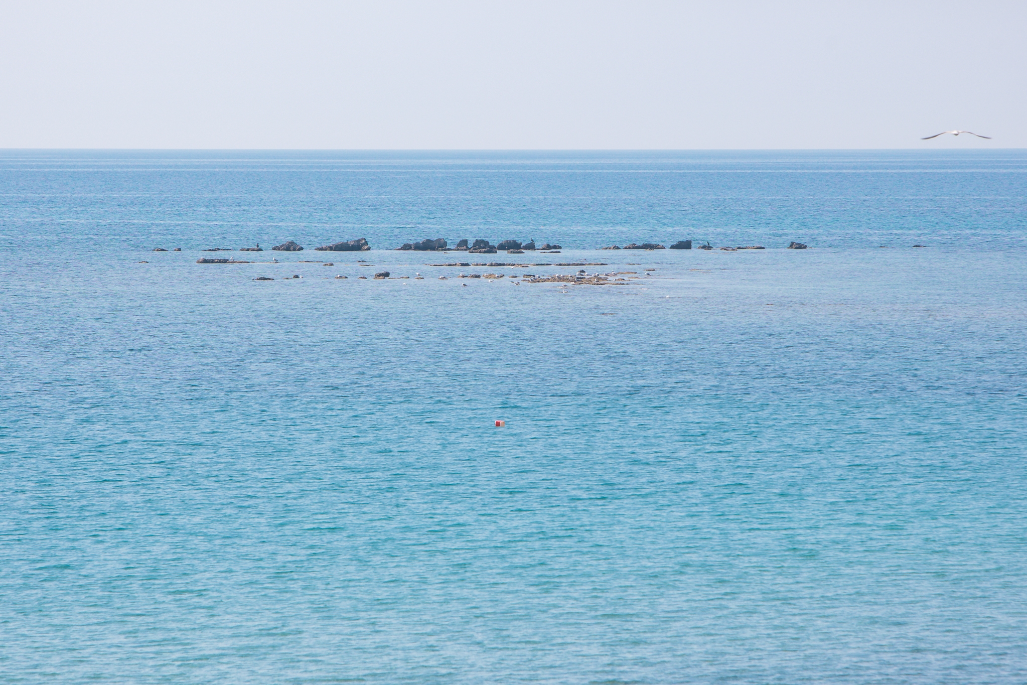 One bedroom apartment near beach Zambratija, Umag  A-b