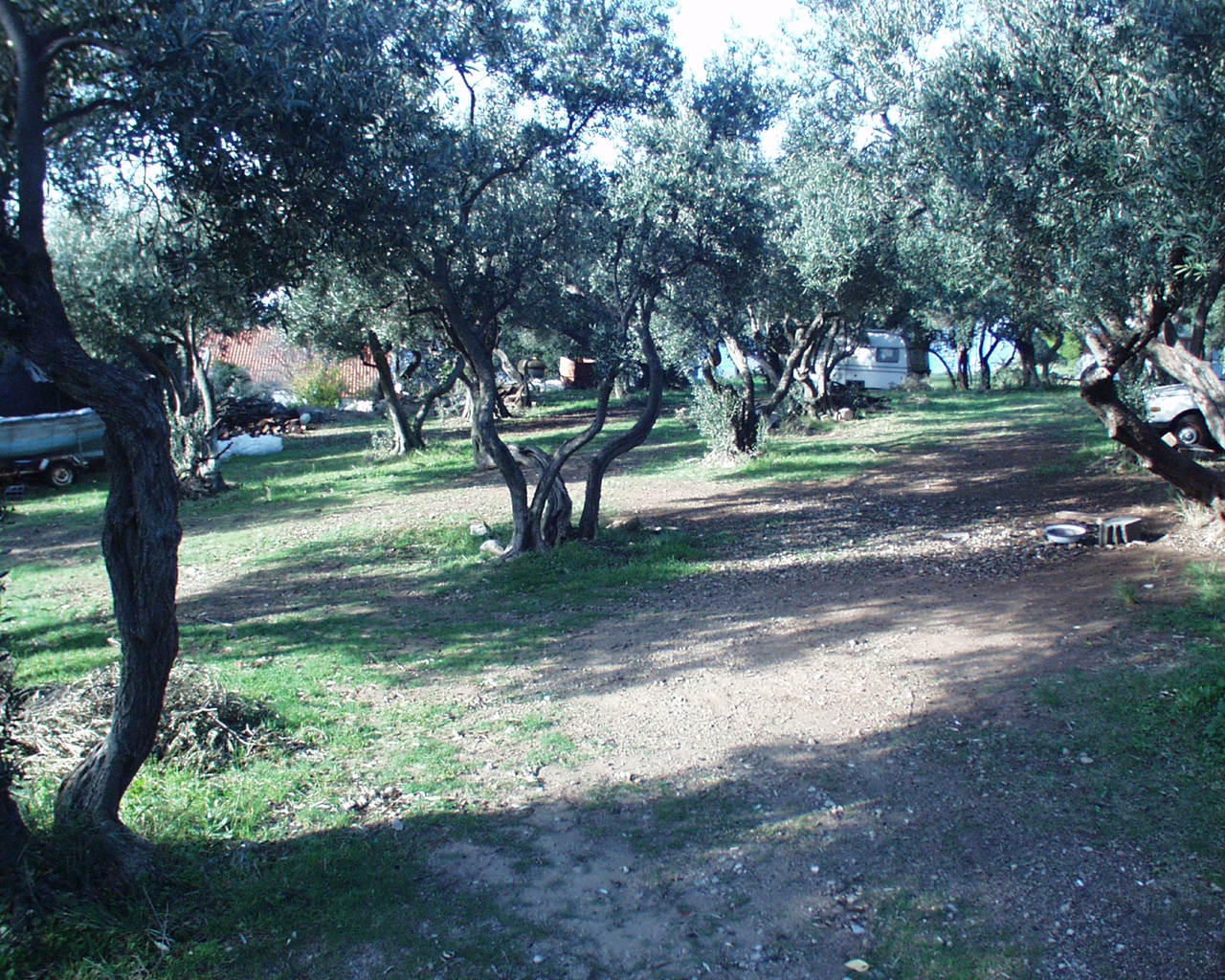 Top Pelješac Žuljana Top Pelješac Žuljana