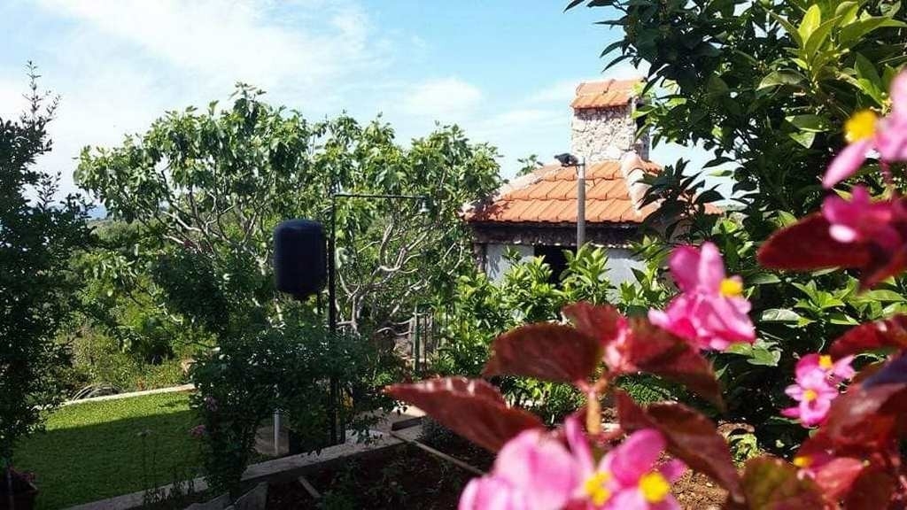Top Rogoznica Zečevo Rtić Top Rogoznica Zečevo Rtić