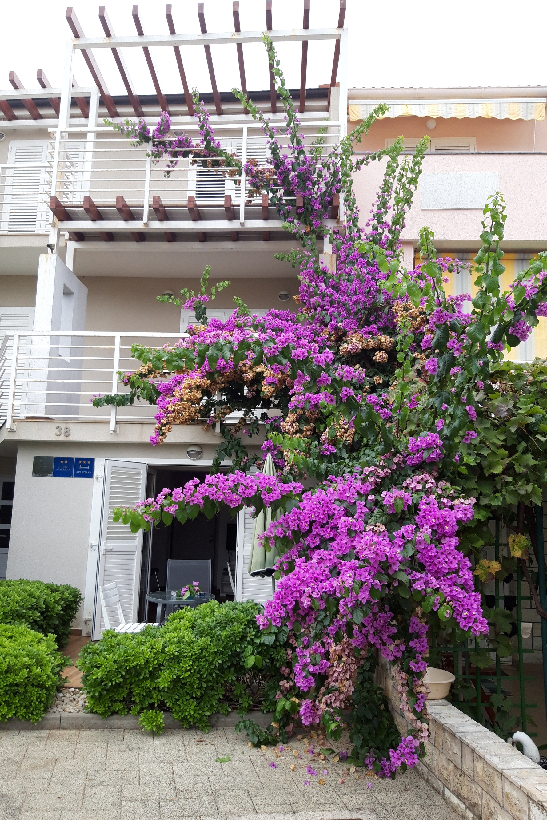 Top Pag Novalja Top Pag Novalja