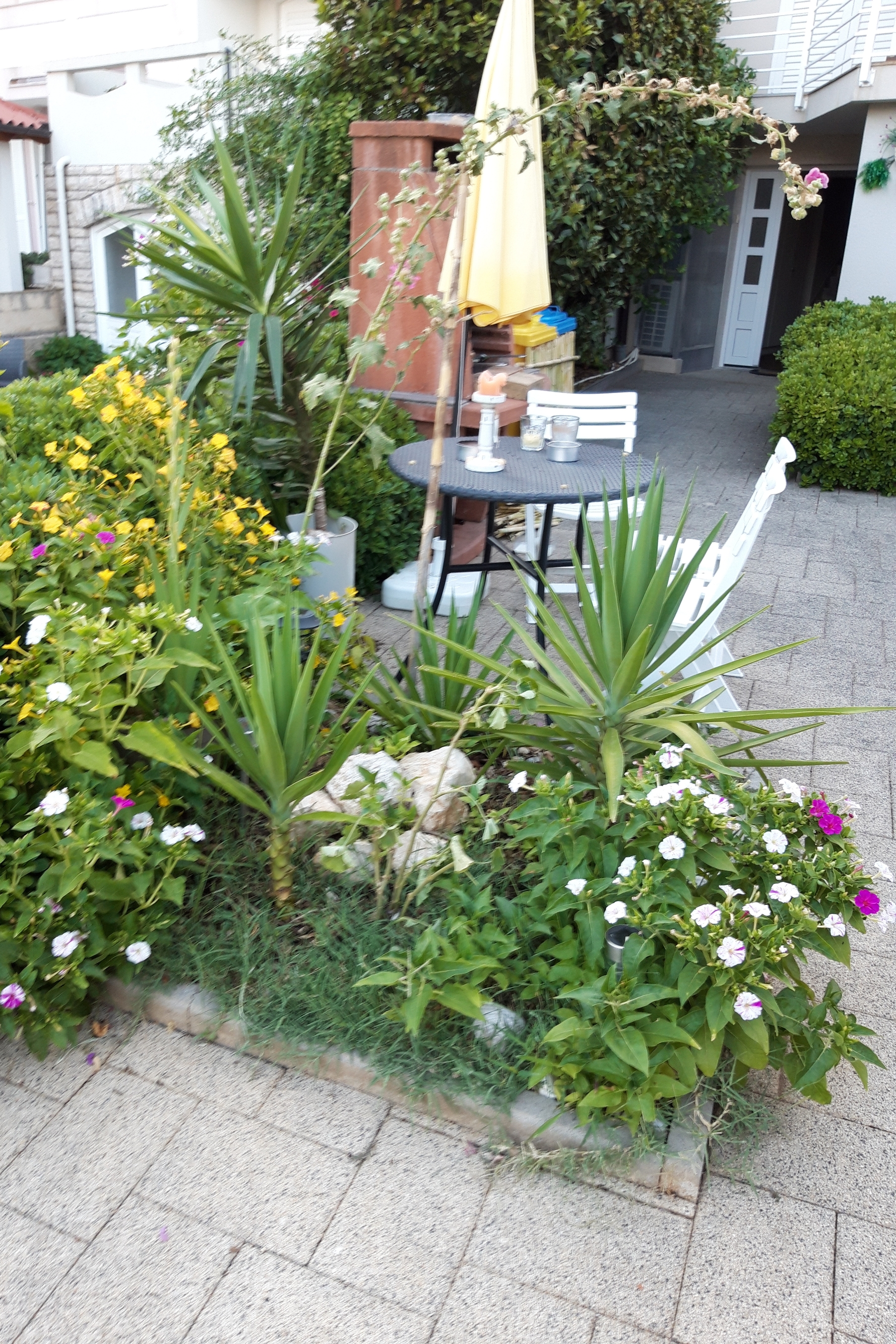 Top Pag Novalja Top Pag Novalja