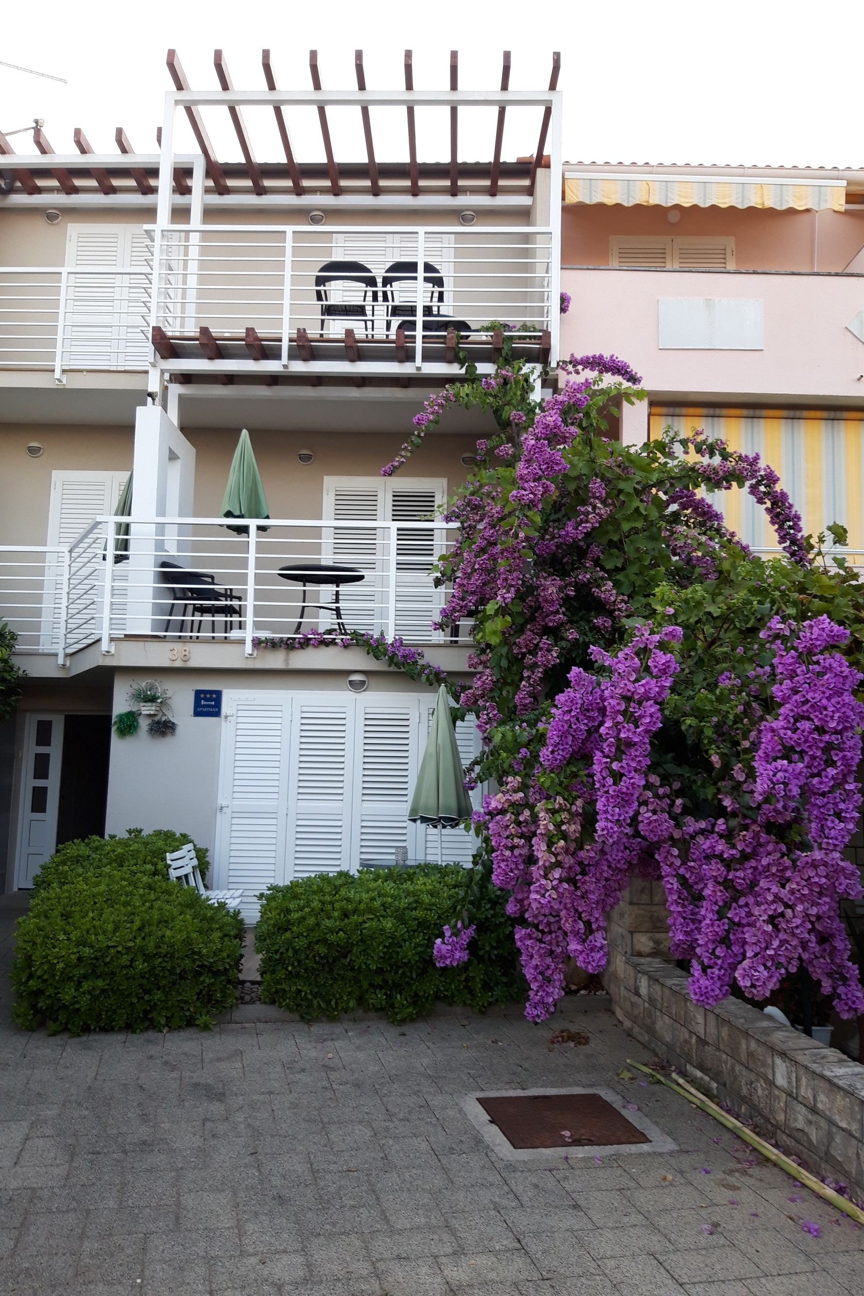 Top Pag Novalja Top Pag Novalja