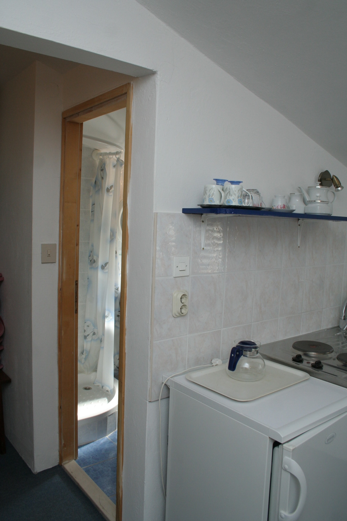 Studio flat (pet friendly) Trpanj, Pelješac  AS-d