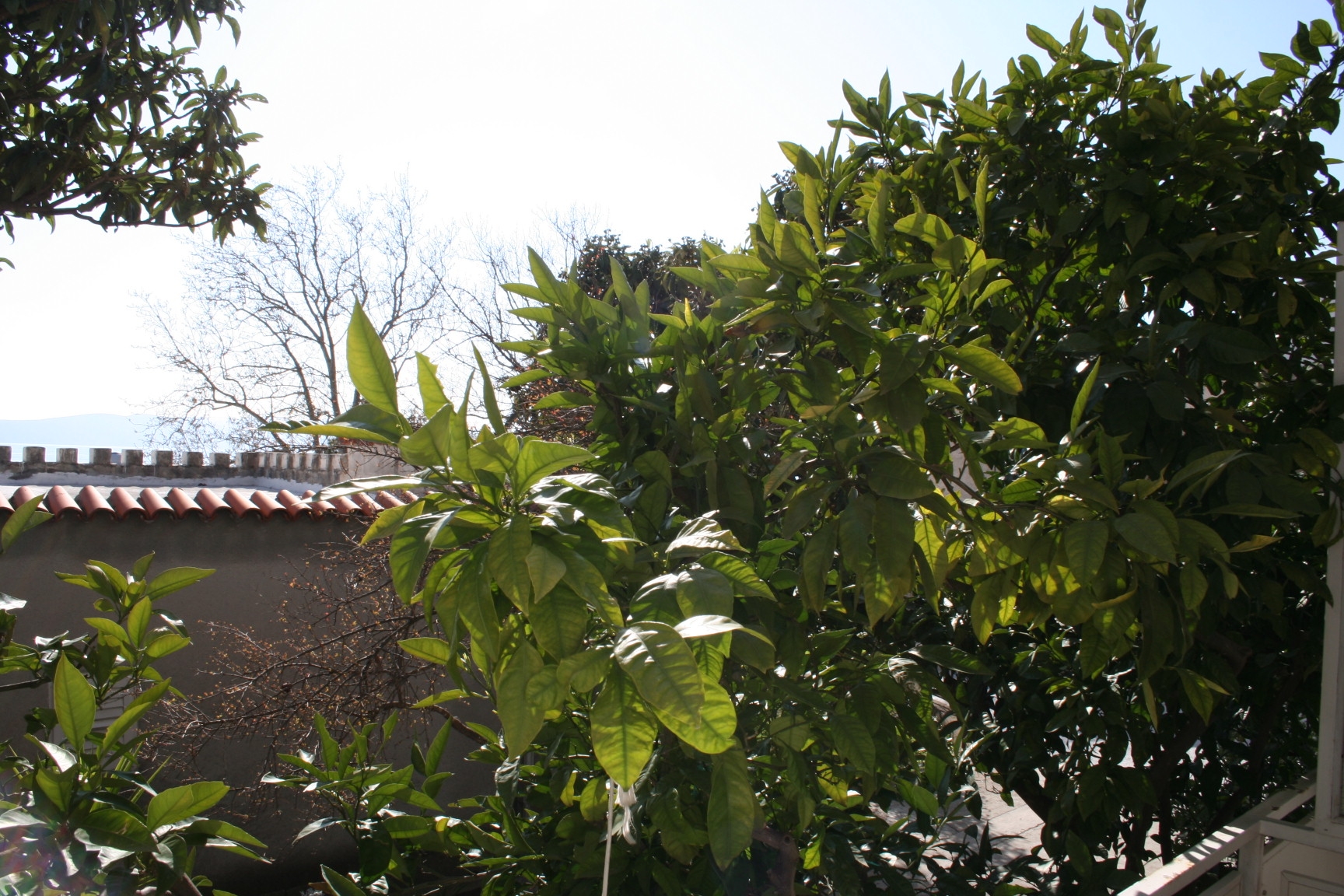 Top Makarska Baška Voda Top Makarska Baška Voda