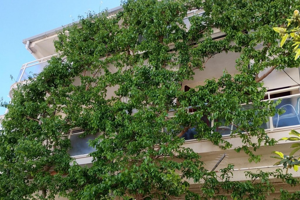 Top Makarska Baška Voda Top Makarska Baška Voda