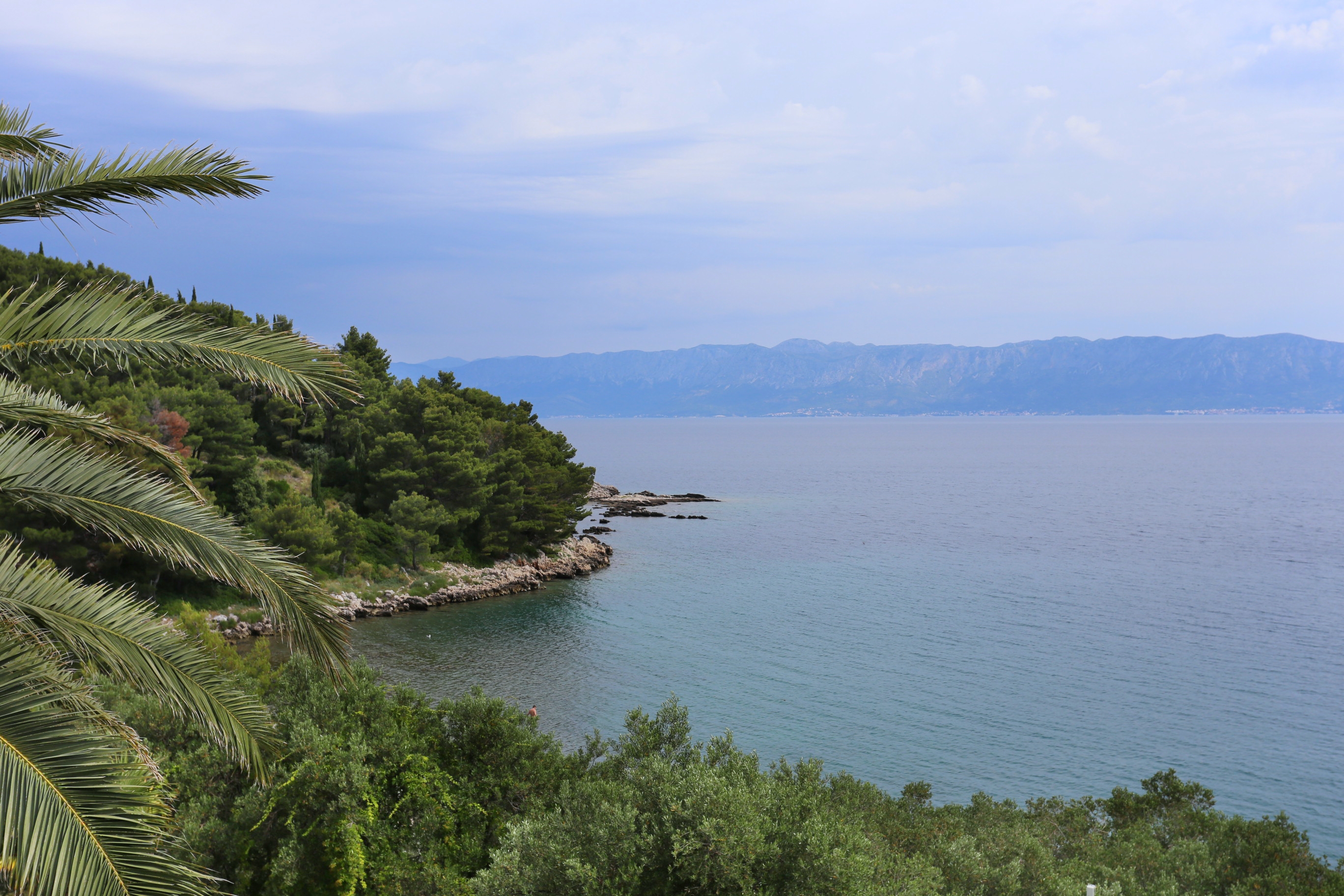 Jednosobni apartman uz plažu Trpanj, Pelješac  A-d