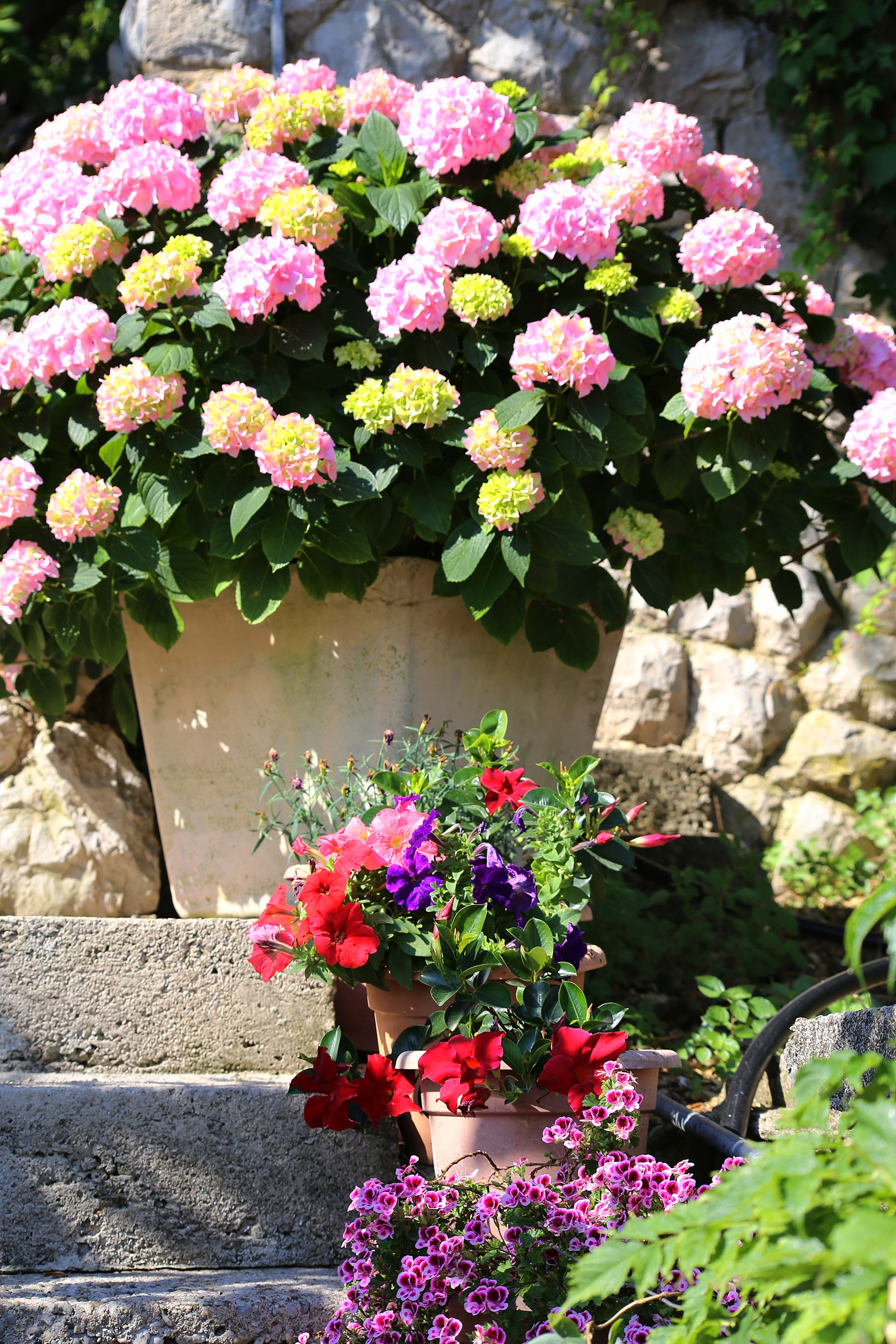 Jednosobni apartman uz plažu Trpanj, Pelješac  A-d