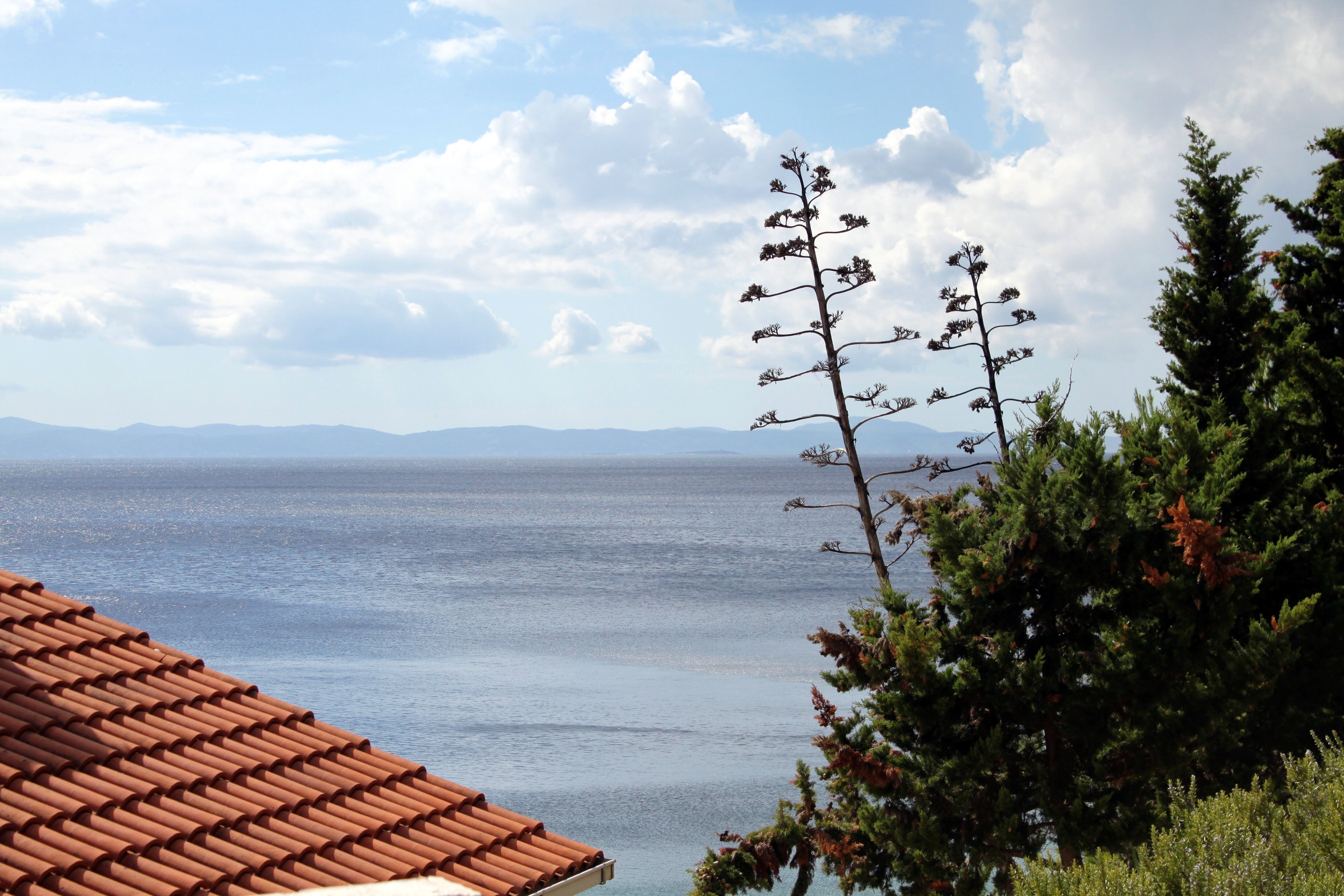 Top Hvar Jedra Top Hvar Jedra