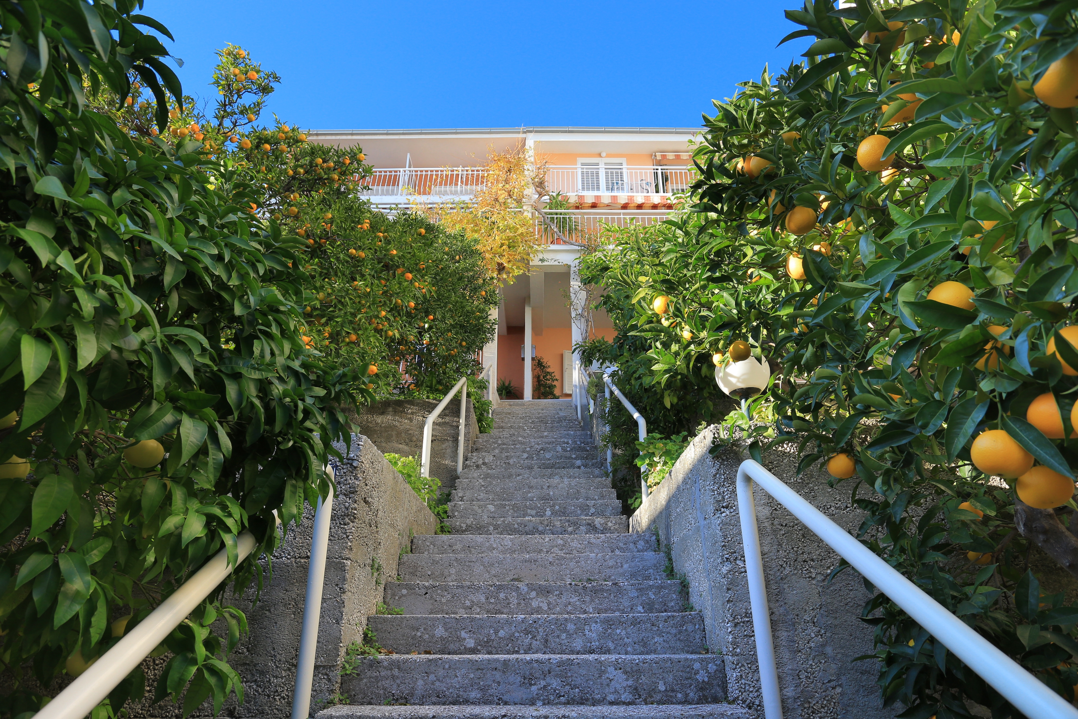 One bedroom apartment with terrace and sea view Podgora, Makarska  A-a