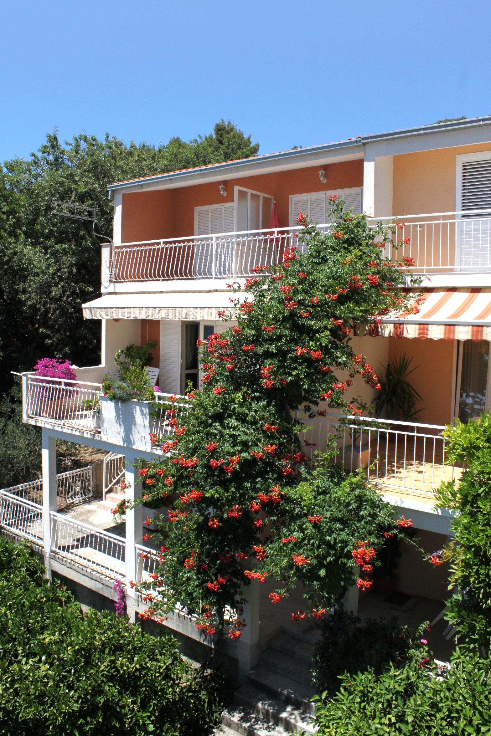 One bedroom apartment with terrace and sea view Podgora, Makarska  A-a