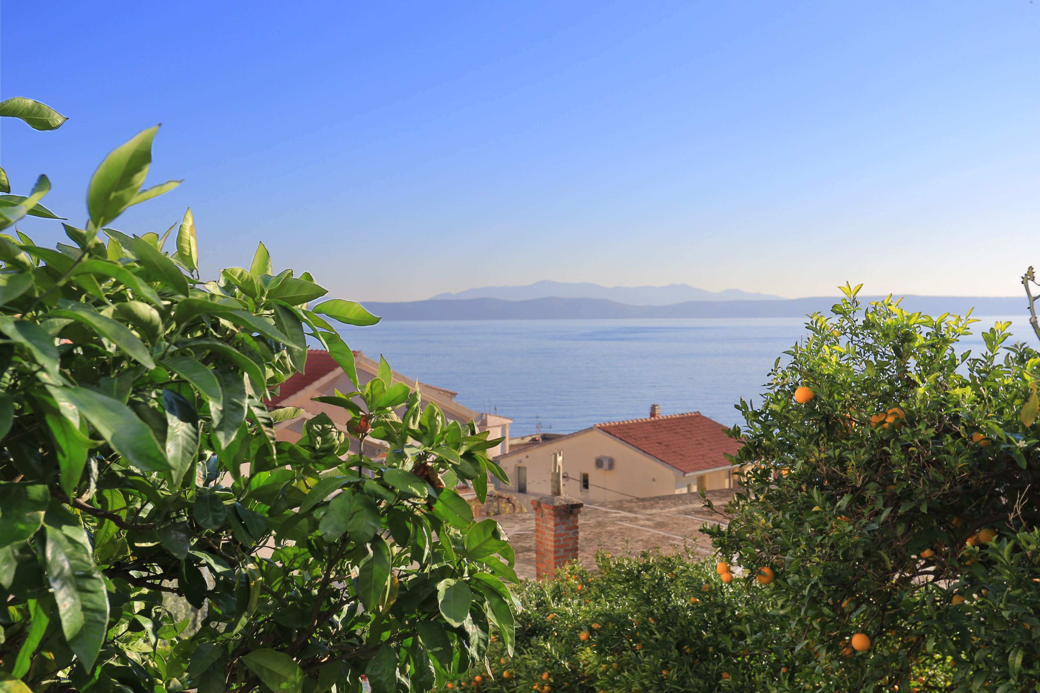 One bedroom apartment with terrace and sea view Podgora, Makarska  A-a