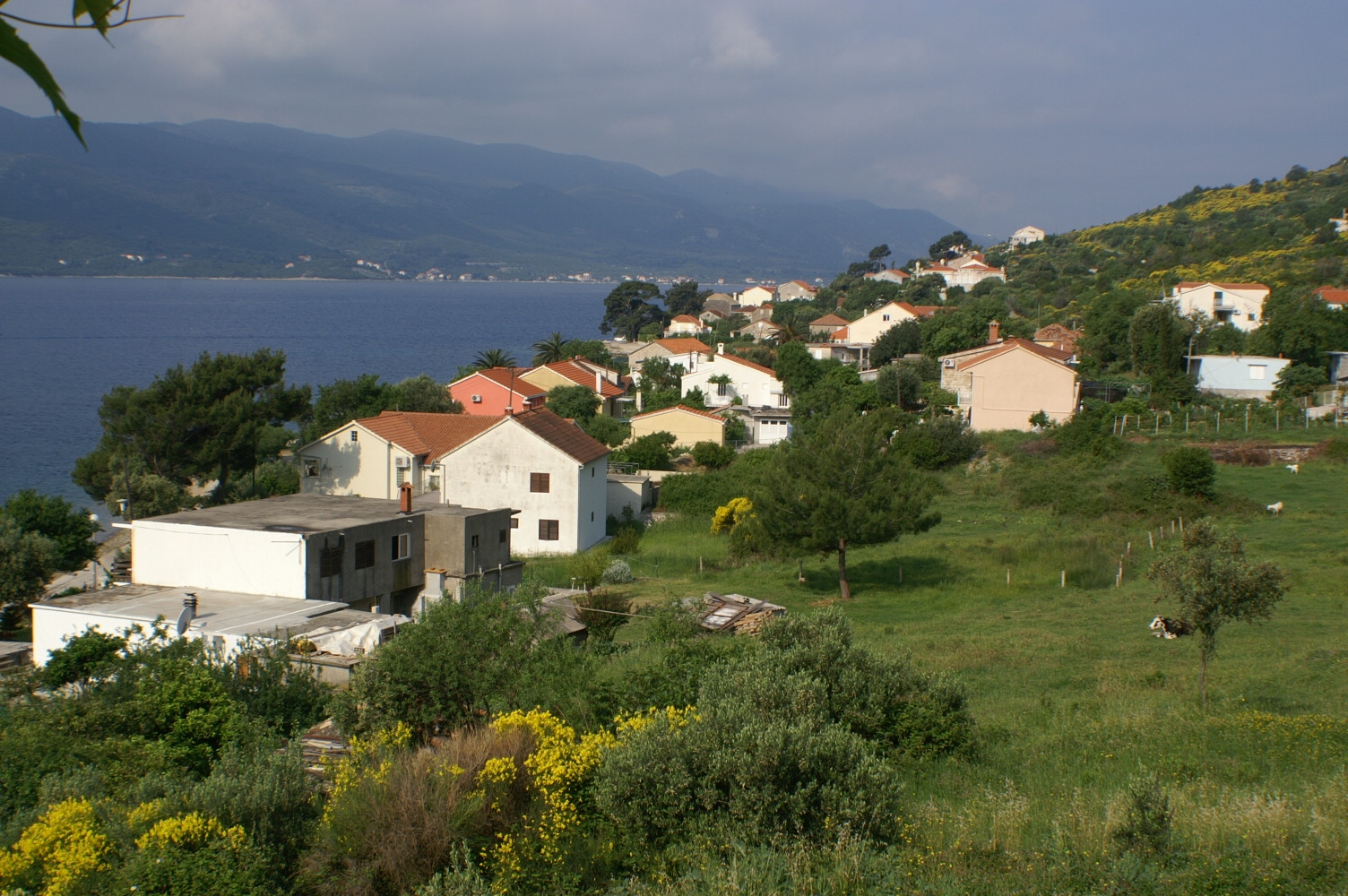 Top Pelješac Viganj Top Pelješac Viganj