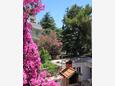 Promajna, Makarska, Courtyard 2605 - Apartments by the sea.
