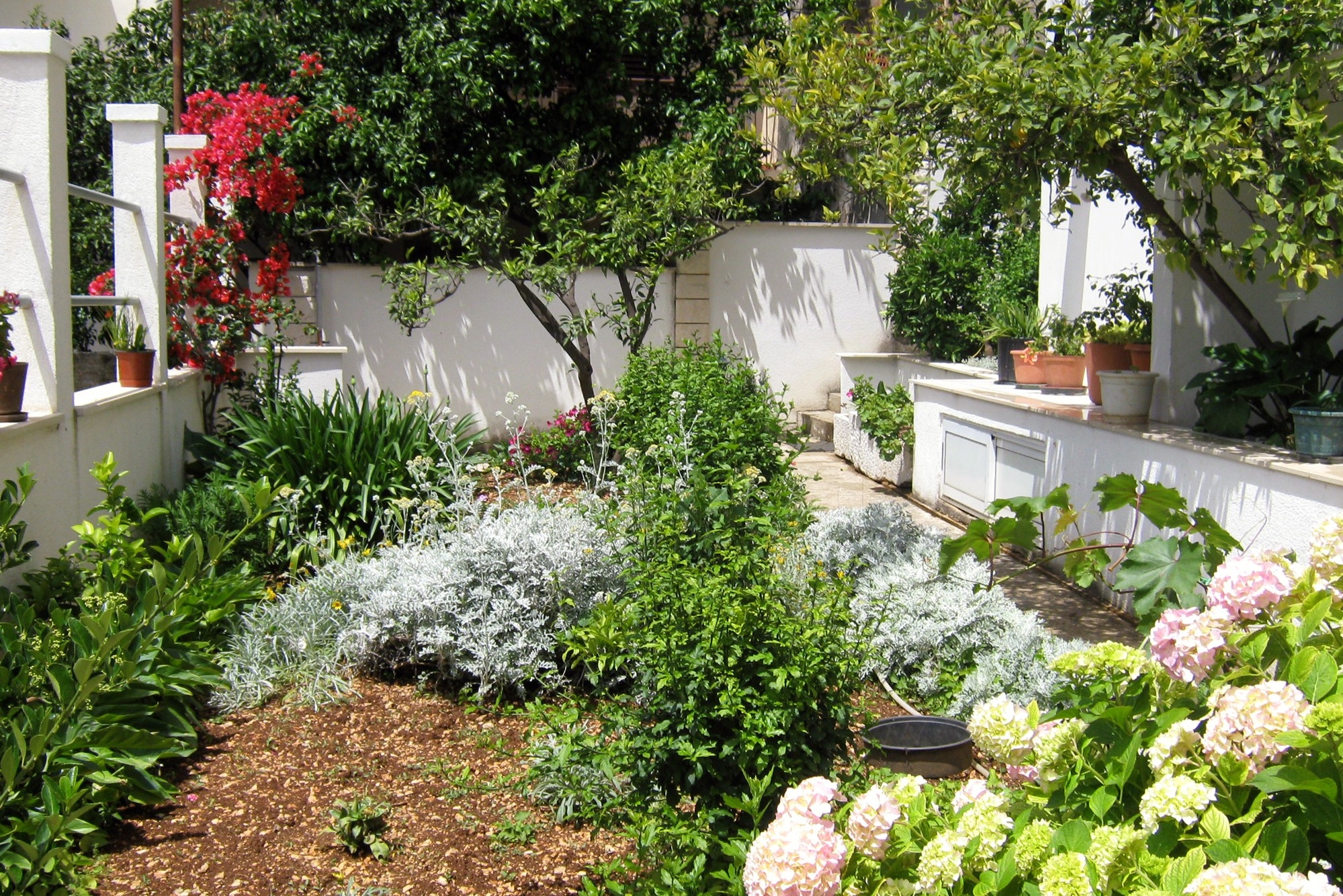 One bedroom apartment with terrace and sea view Podgora, Makarska (A-2615-c)