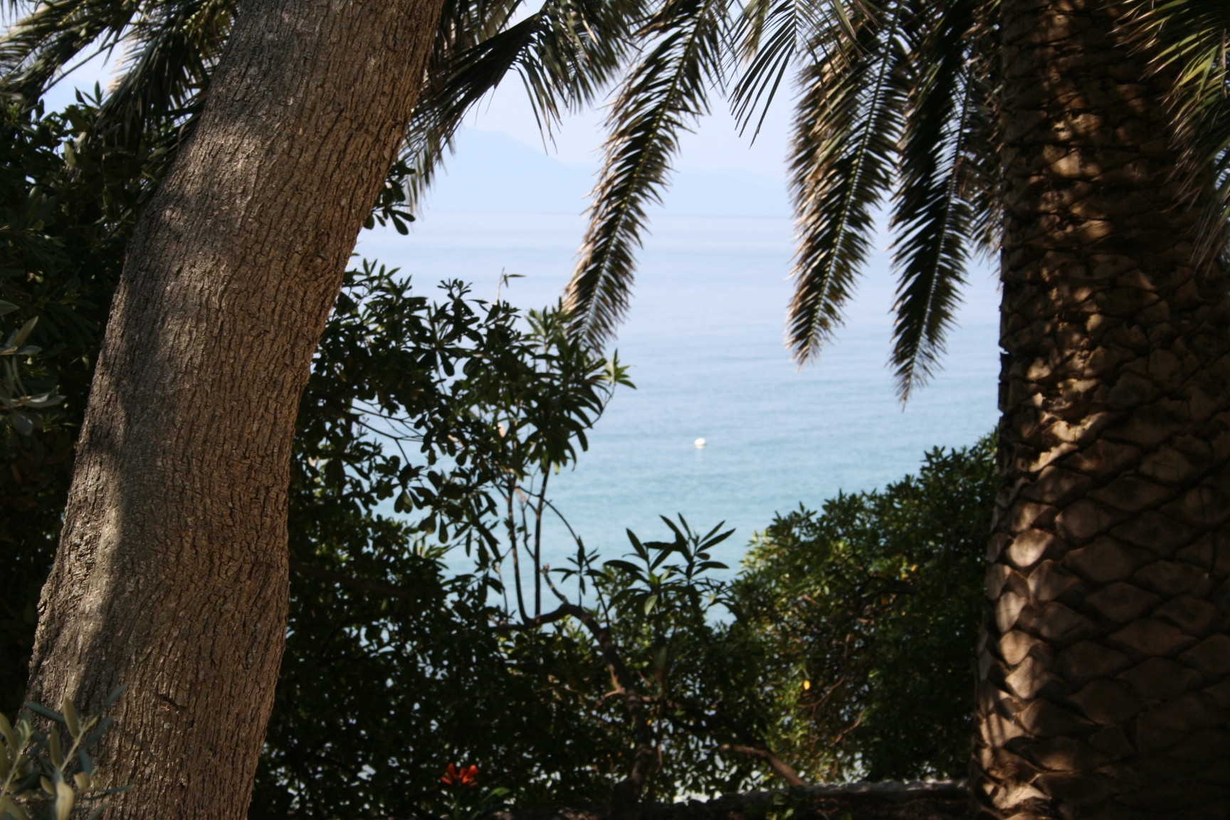 One bedroom apartment near beach Zaostrog, Makarska  A-b