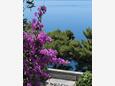 Bratuš, Makarska, Двор 2627 - Апартаменты с галечным пляжем.
