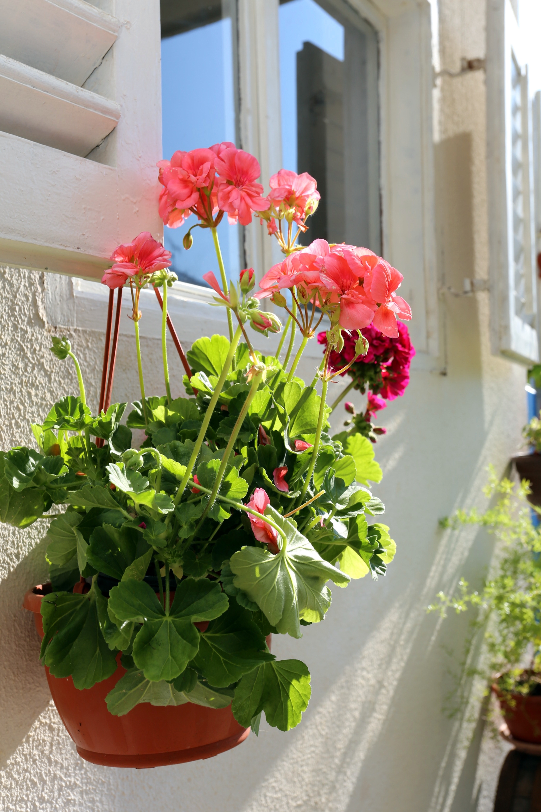 Two bedroom apartment with terrace Orebić, Pelješac  A-d