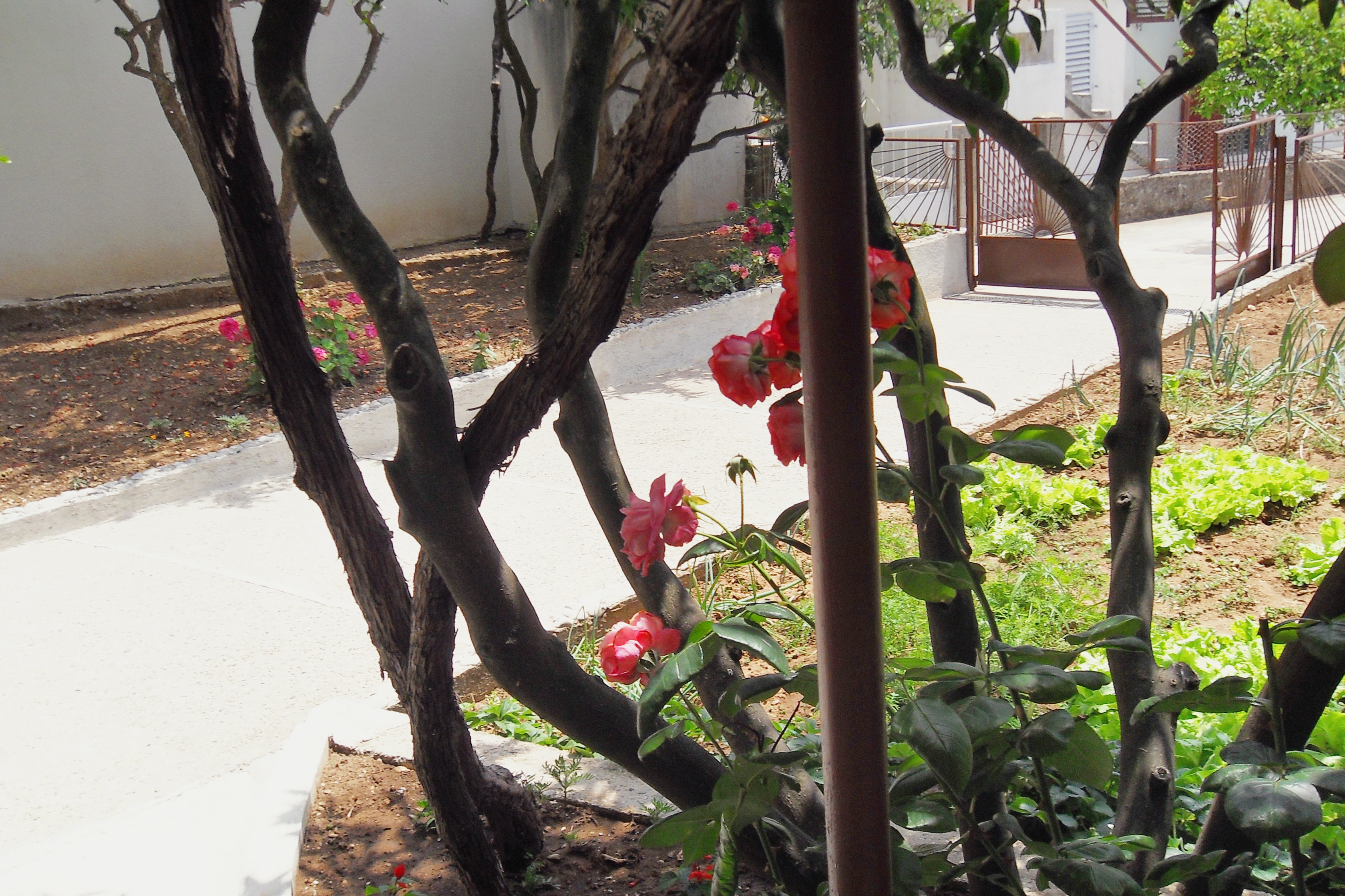 Top Makarska Zaostrog Top Makarska Zaostrog