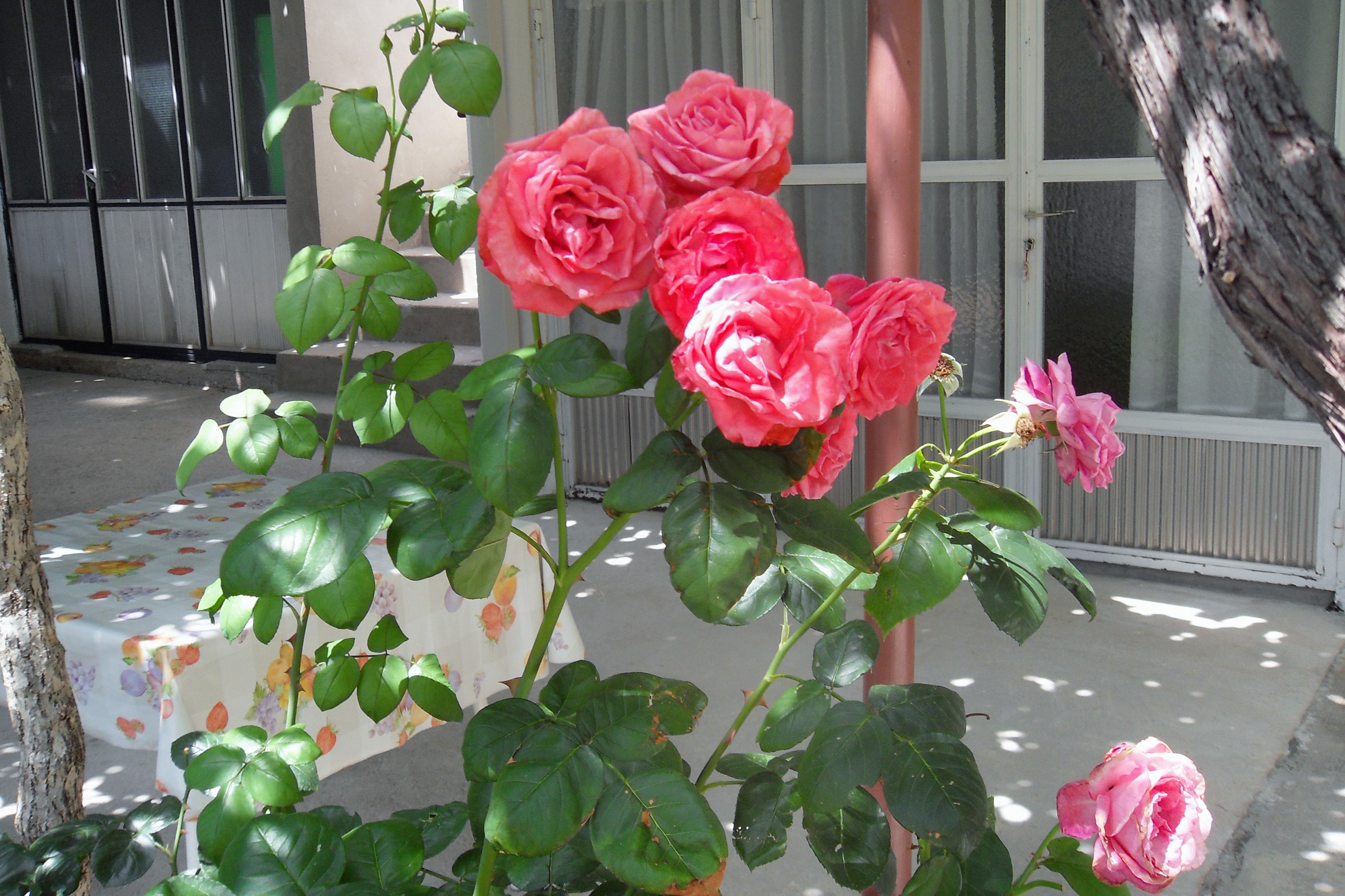 Room with air-conditioning Zaostrog, Makarska (S-2662-f) Room with air-conditioning Zaostrog, Makarska (S-2662-f)