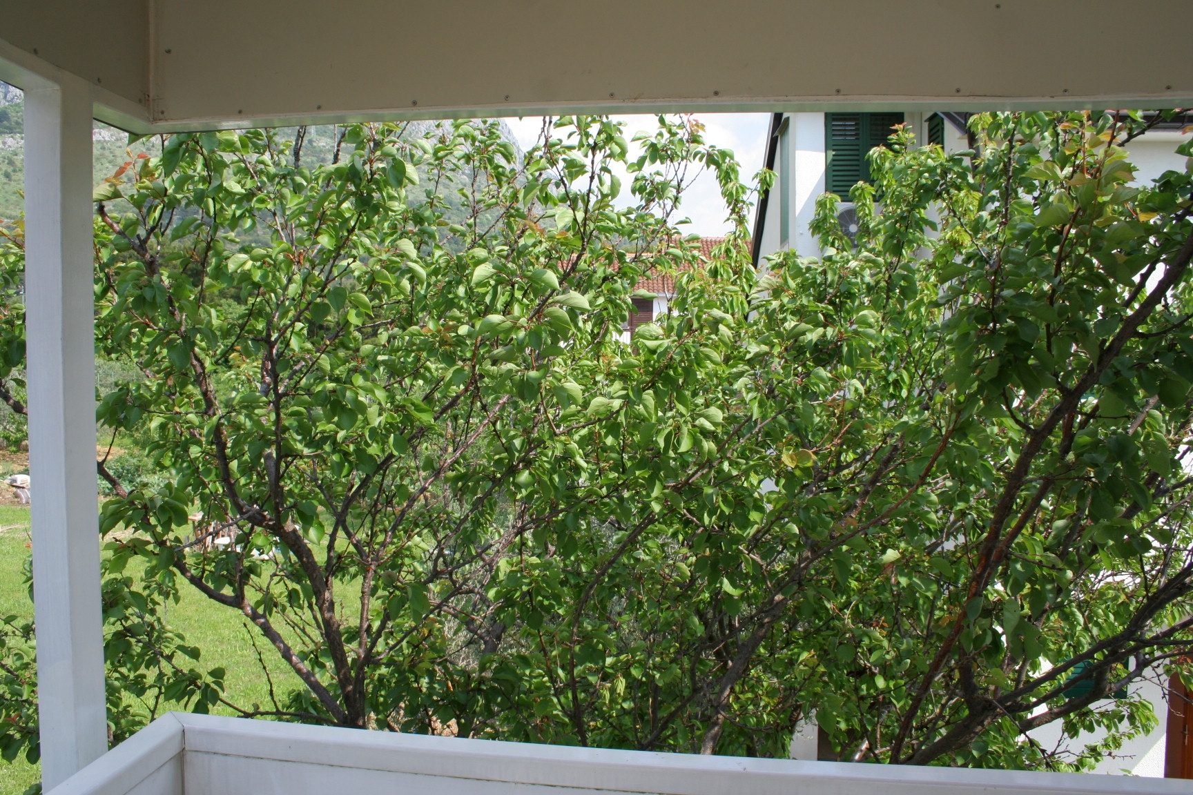 Studio flat with terrace Zaostrog, Makarska  AS-a
