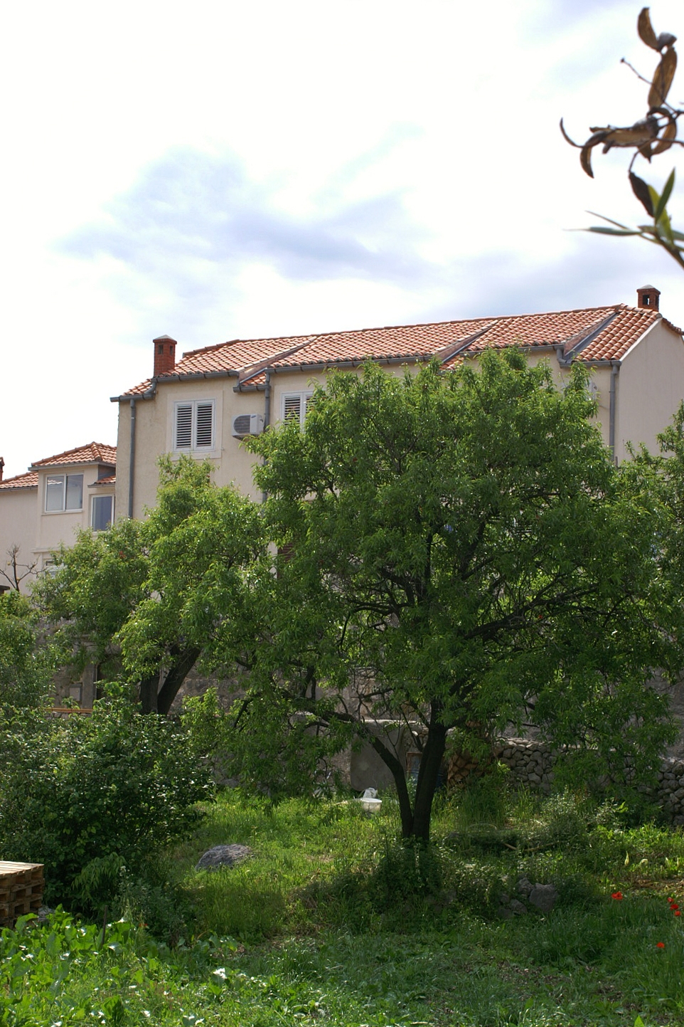 Top Dubrovnik Slano Top Dubrovnik Slano