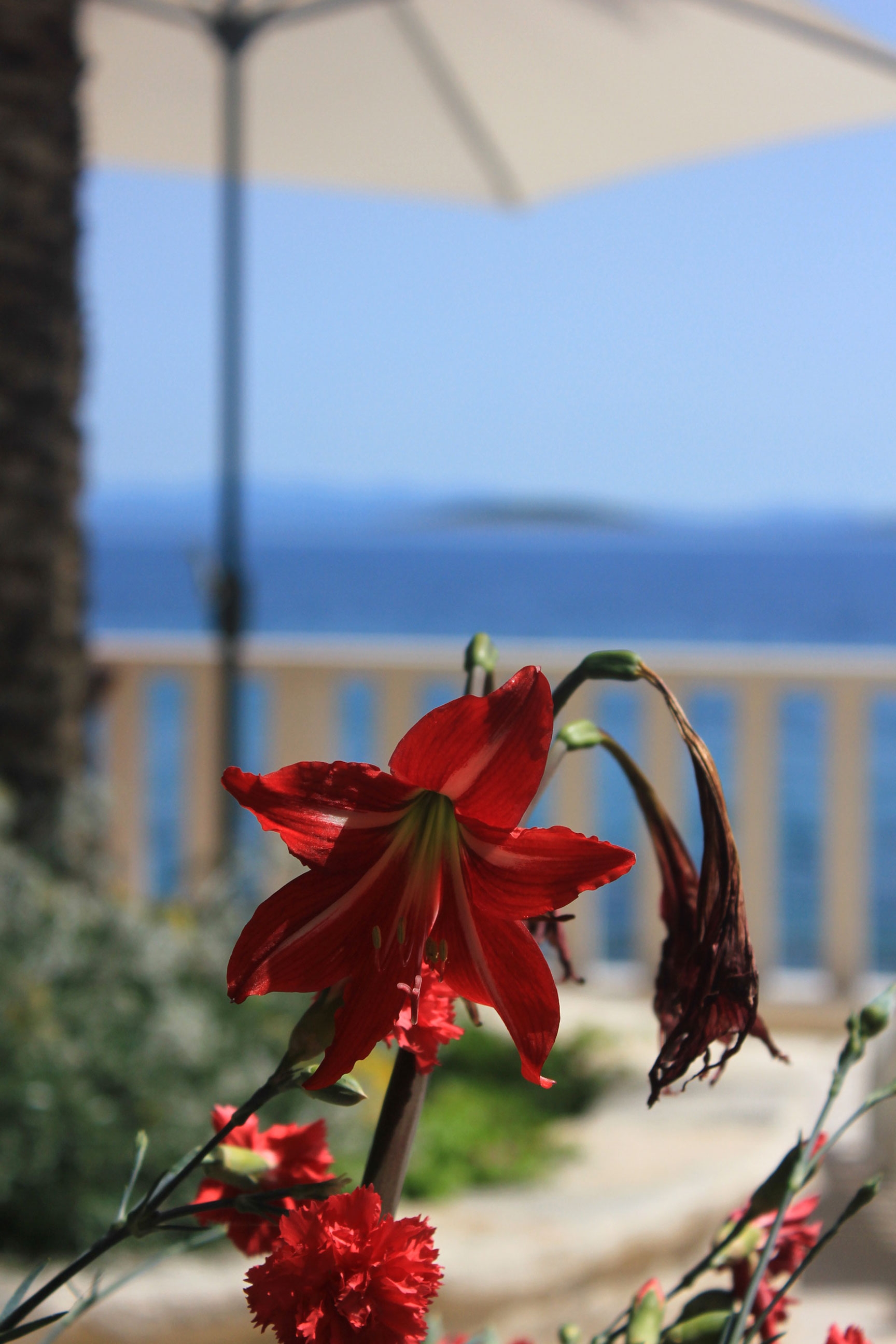 Dvosobni apartman uz plažu Orebić, Pelješac  A-a