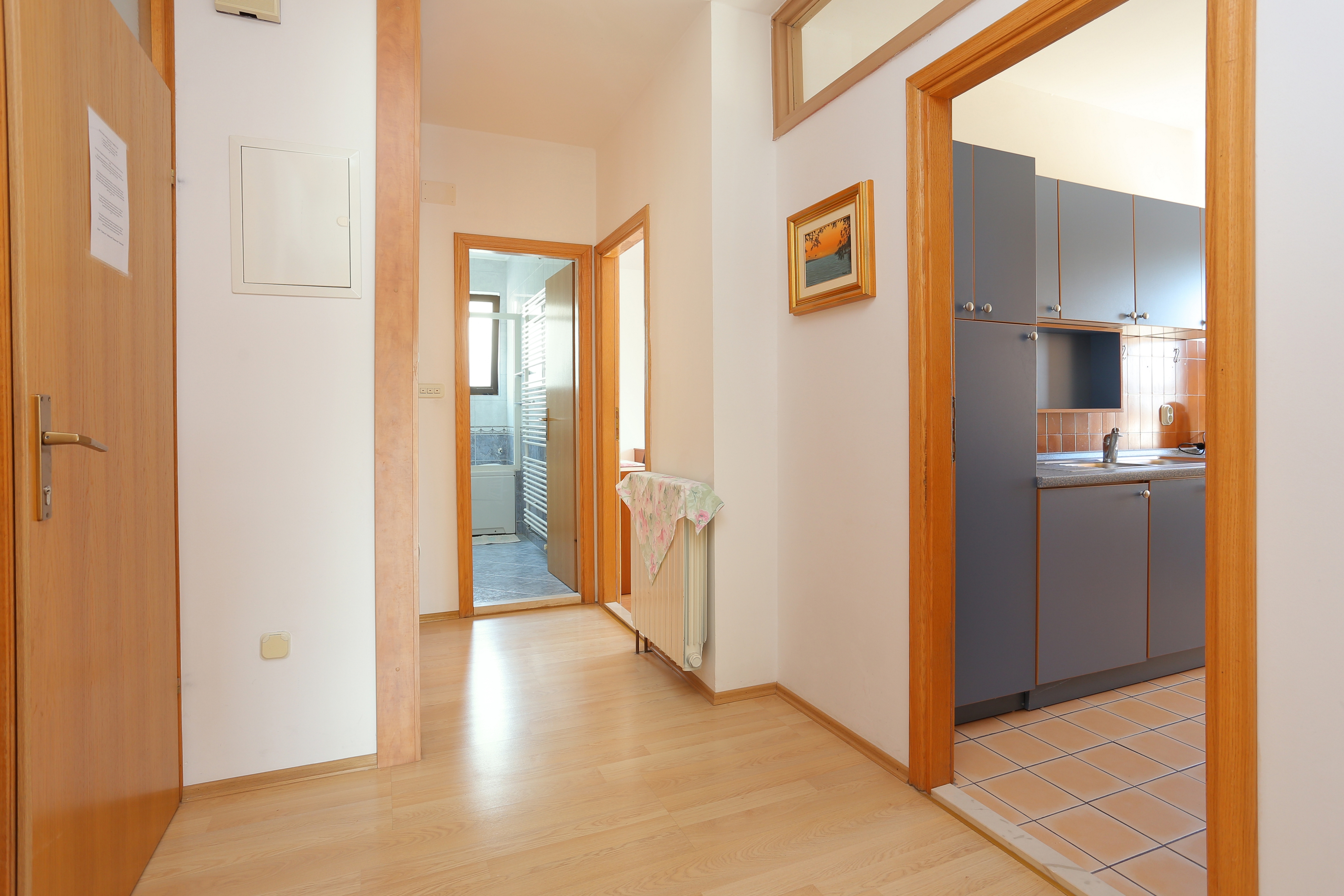 One bedroom apartment with balcony Tučepi, Makarska  A-e