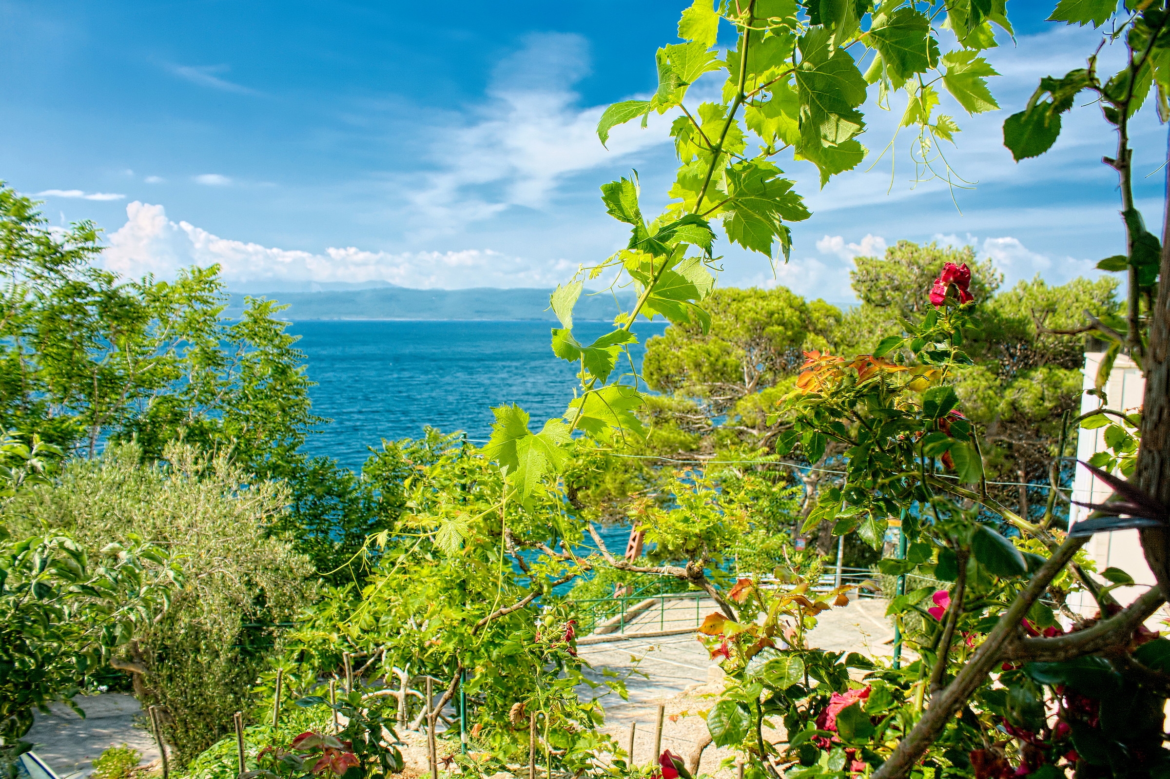 Four bedroom apartment with terrace and sea view Živogošće - Porat, Makarska  A-a