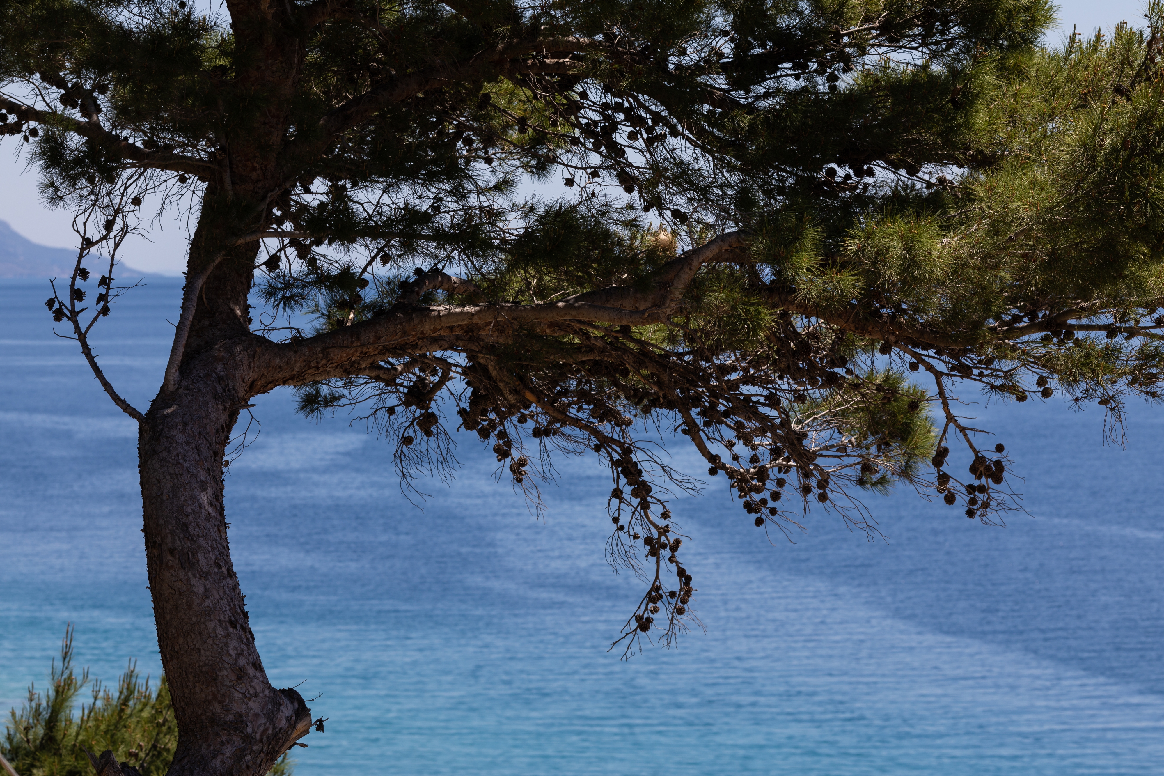 One bedroom apartment near beach Mimice, Omiš  A-c