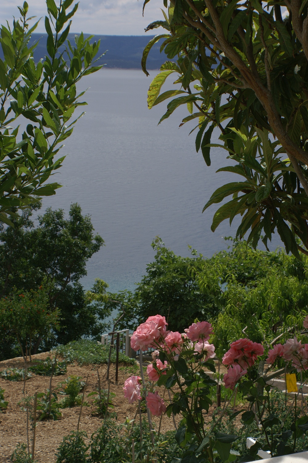 Top Omiš Pisak Top Omiš Pisak